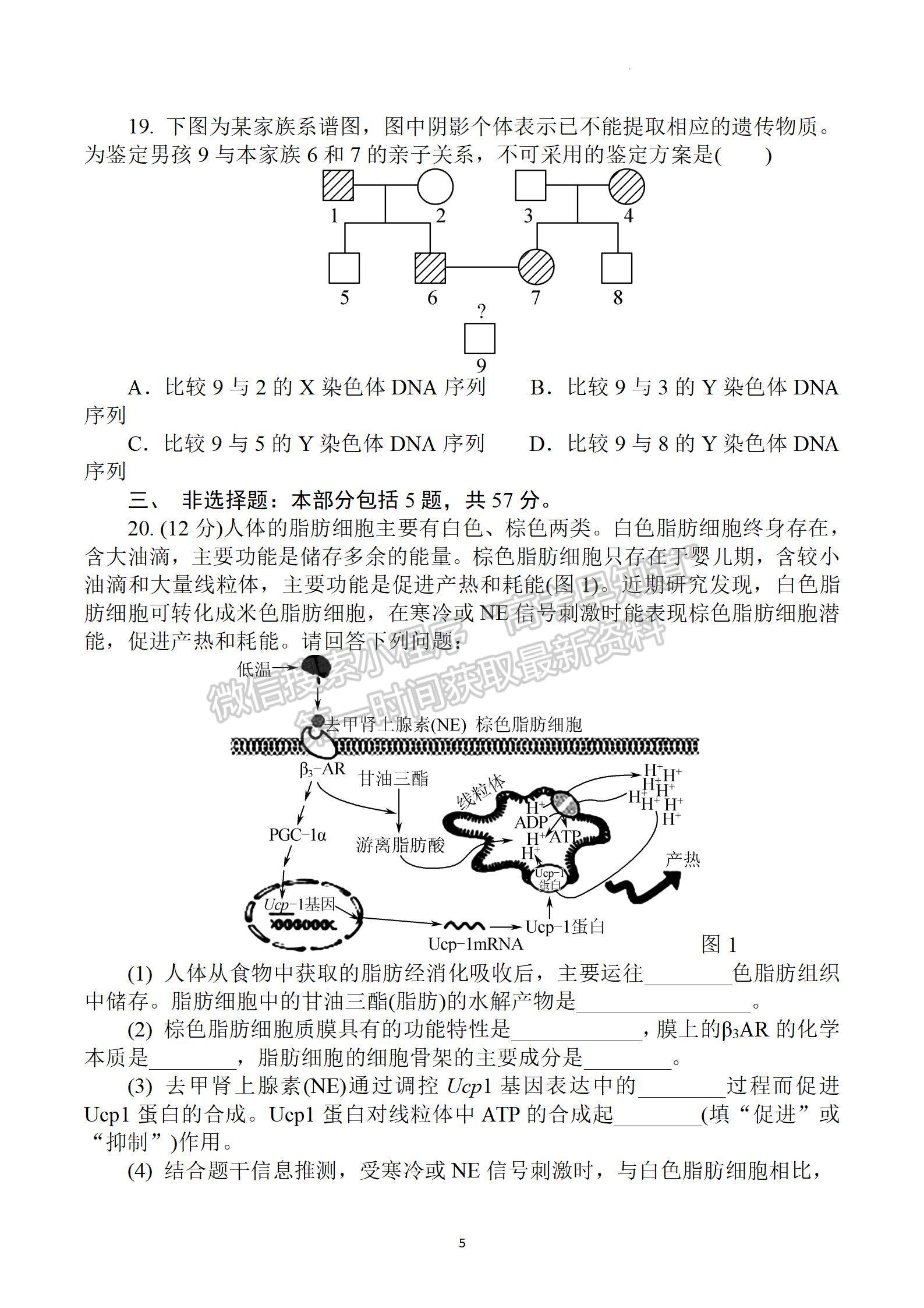 2023屆江蘇省鹽城市高三上學期期中考試生物試題及參考答案