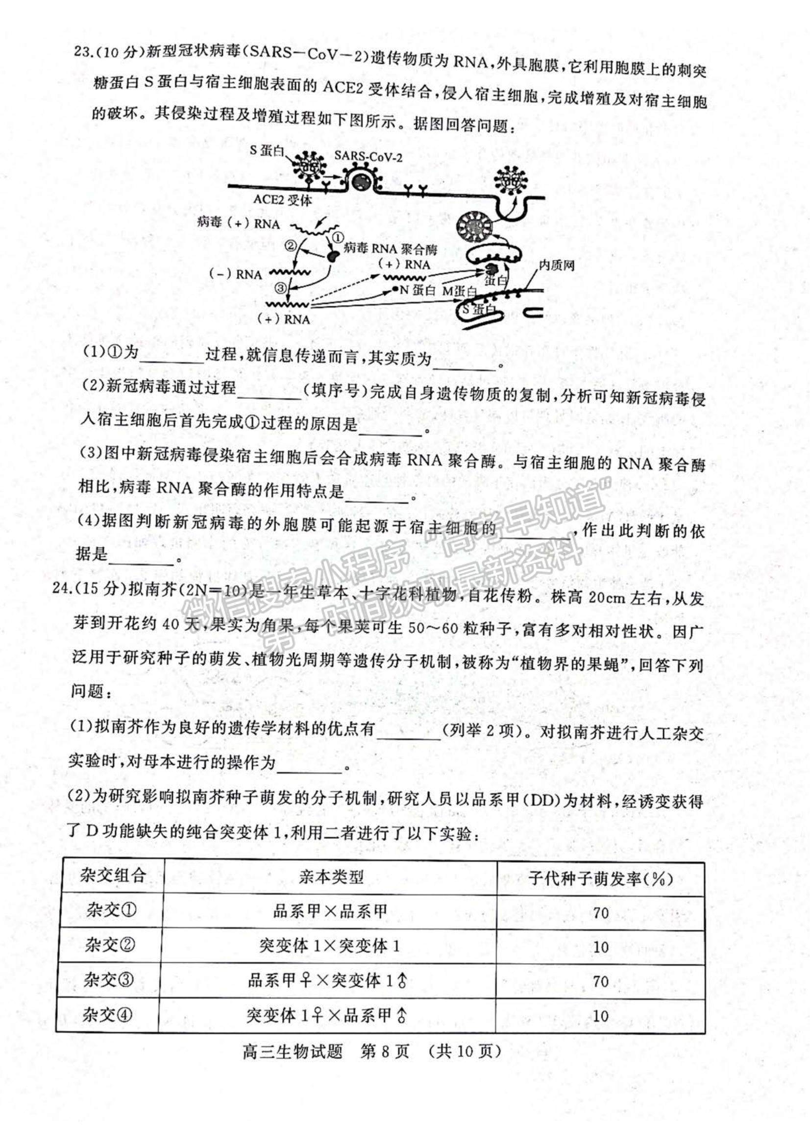 2023年山東省濟南棗莊高三期中考聯(lián)考-生物試卷及答案