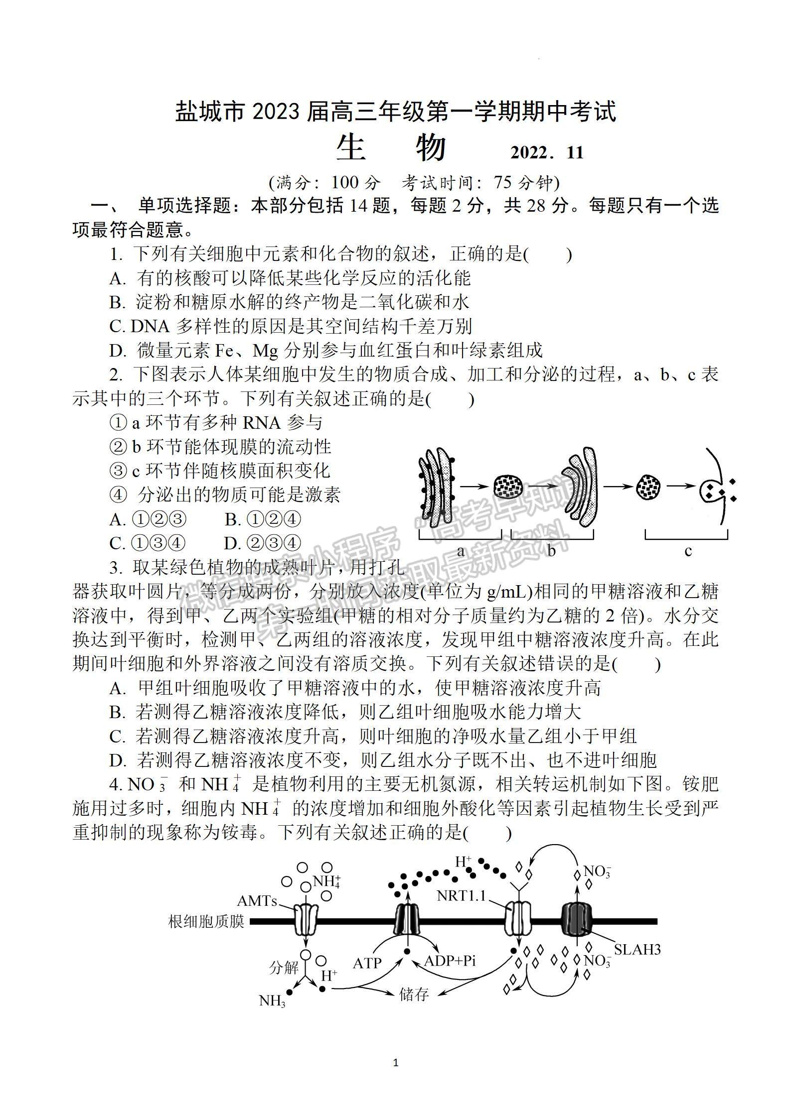 2023屆江蘇省鹽城市高三上學(xué)期期中考試生物試題及參考答案