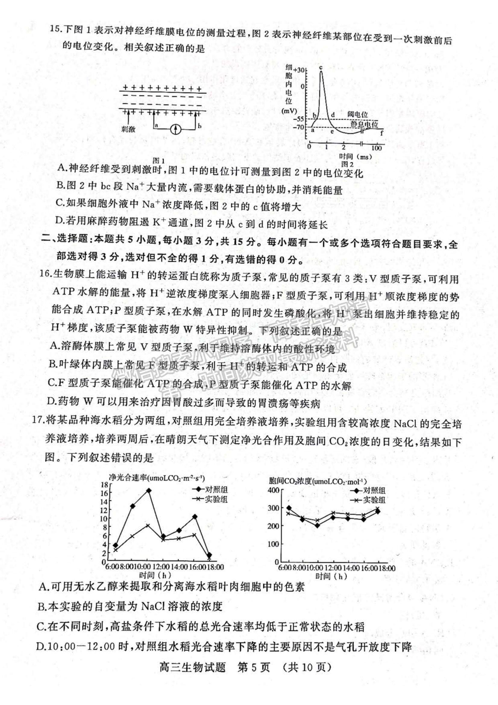 2023年山東省濟南棗莊高三期中考聯(lián)考-生物試卷及答案