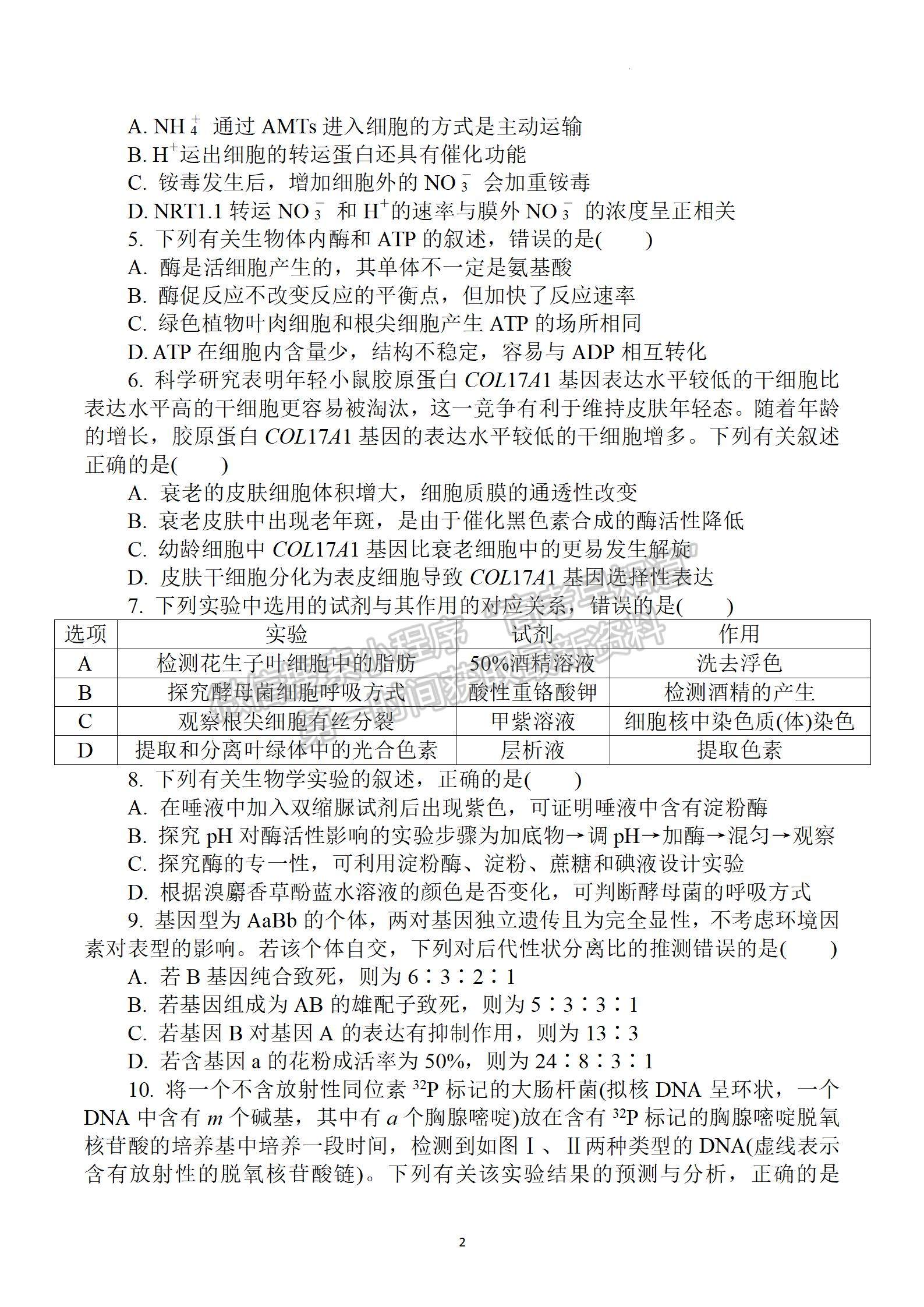 2023屆江蘇省鹽城市高三上學(xué)期期中考試生物試題及參考答案