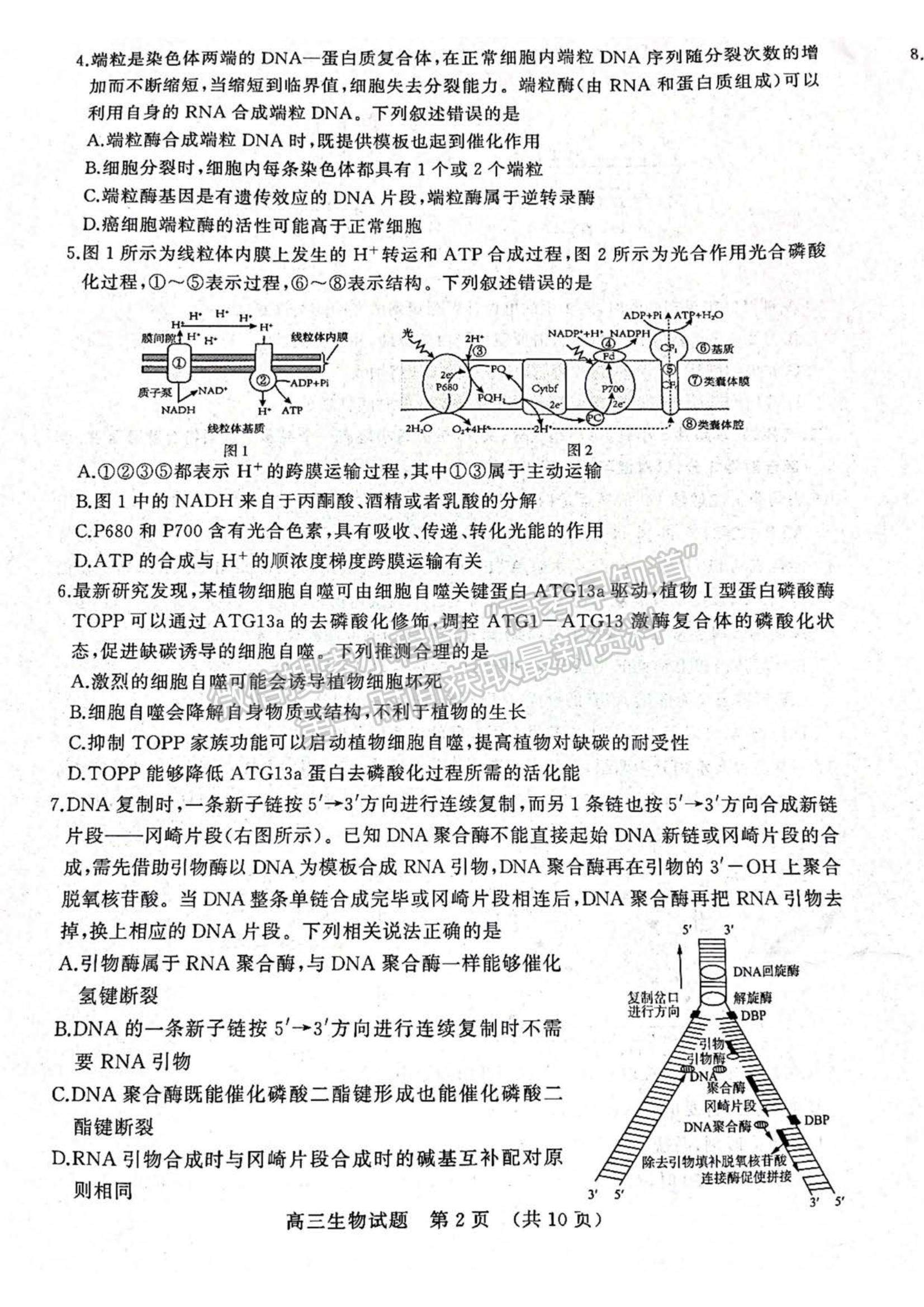 2023年山東省濟(jì)南棗莊高三期中考聯(lián)考-生物試卷及答案