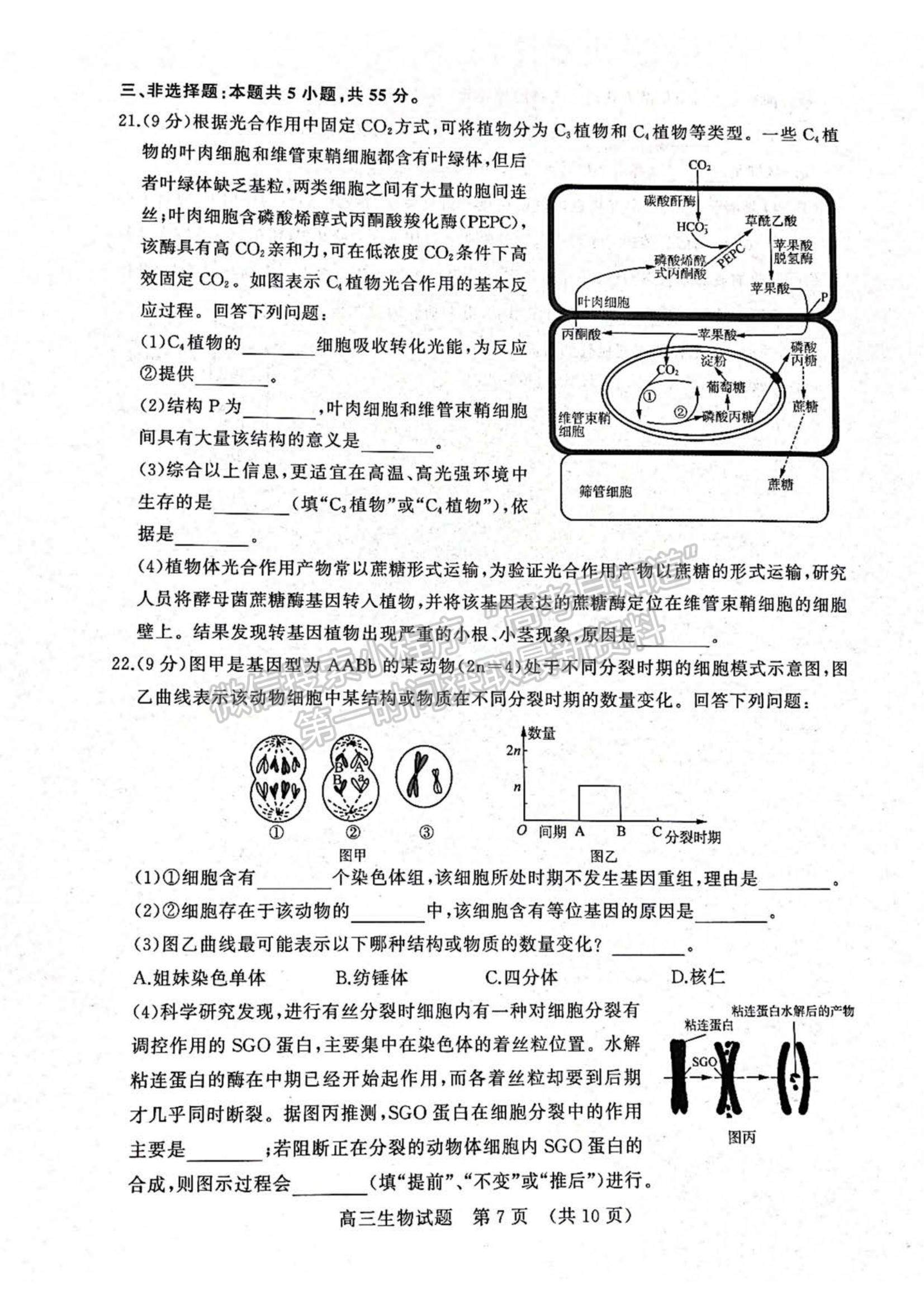 2023年山東省濟南棗莊高三期中考聯(lián)考-生物試卷及答案