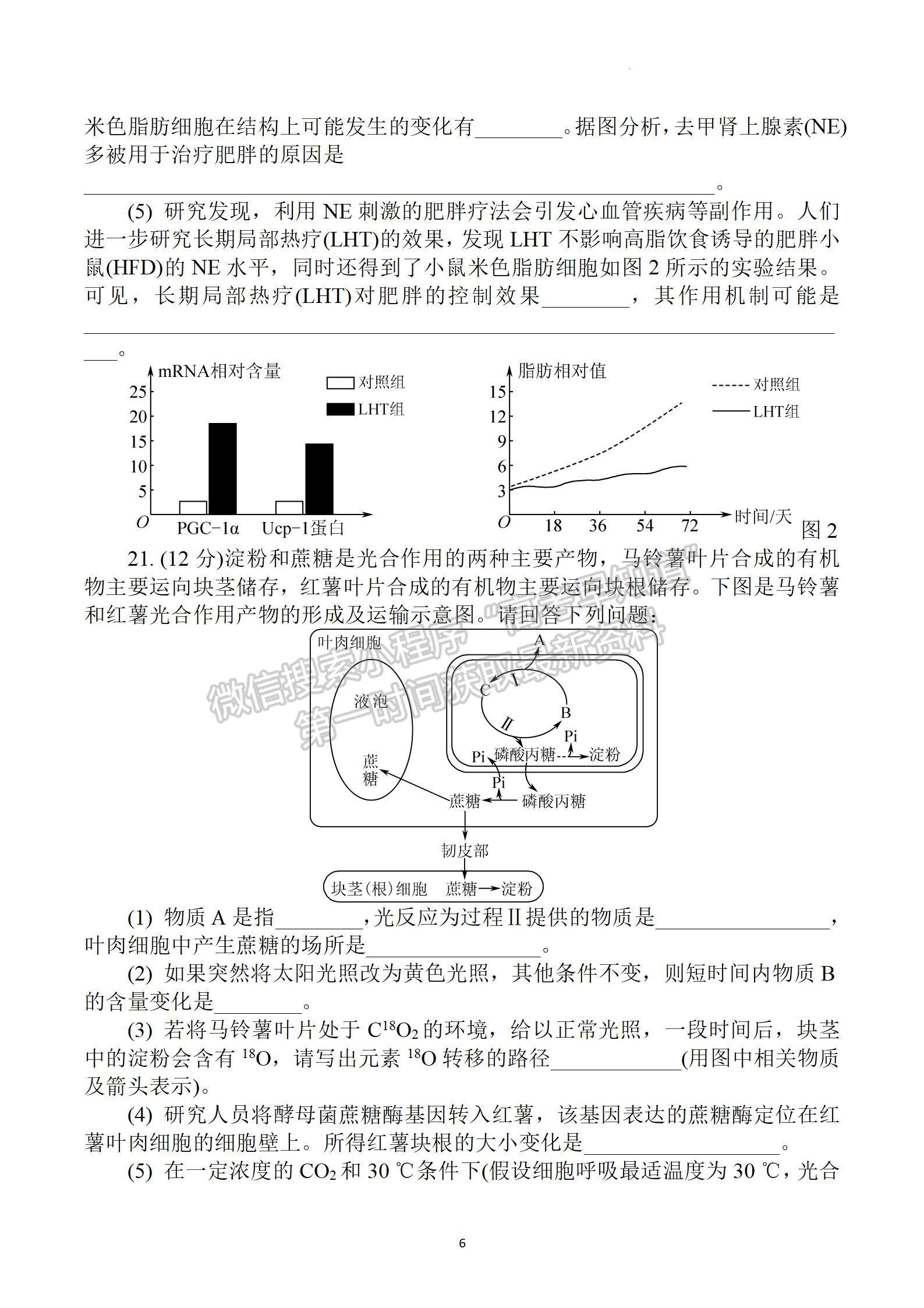 2023屆江蘇省鹽城市高三上學期期中考試生物試題及參考答案