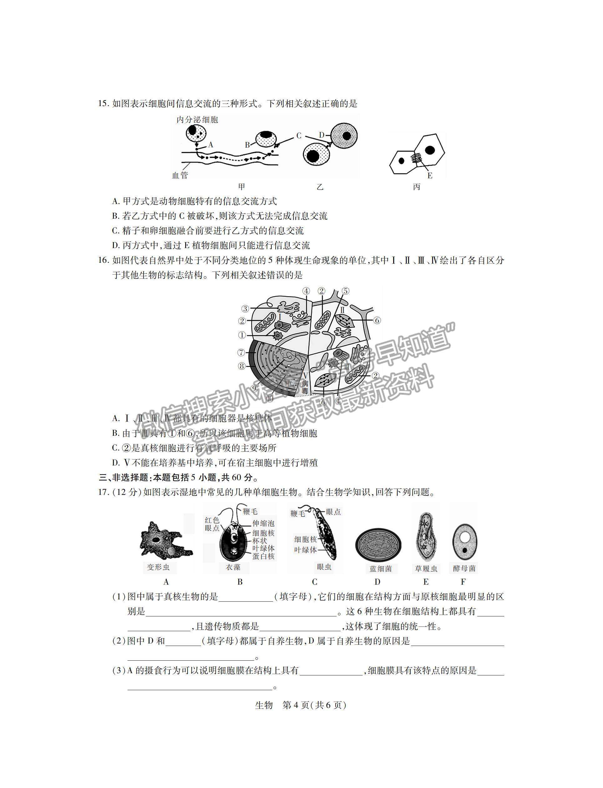 江西省穩(wěn)派2022級高一上學期11月生物期中考試