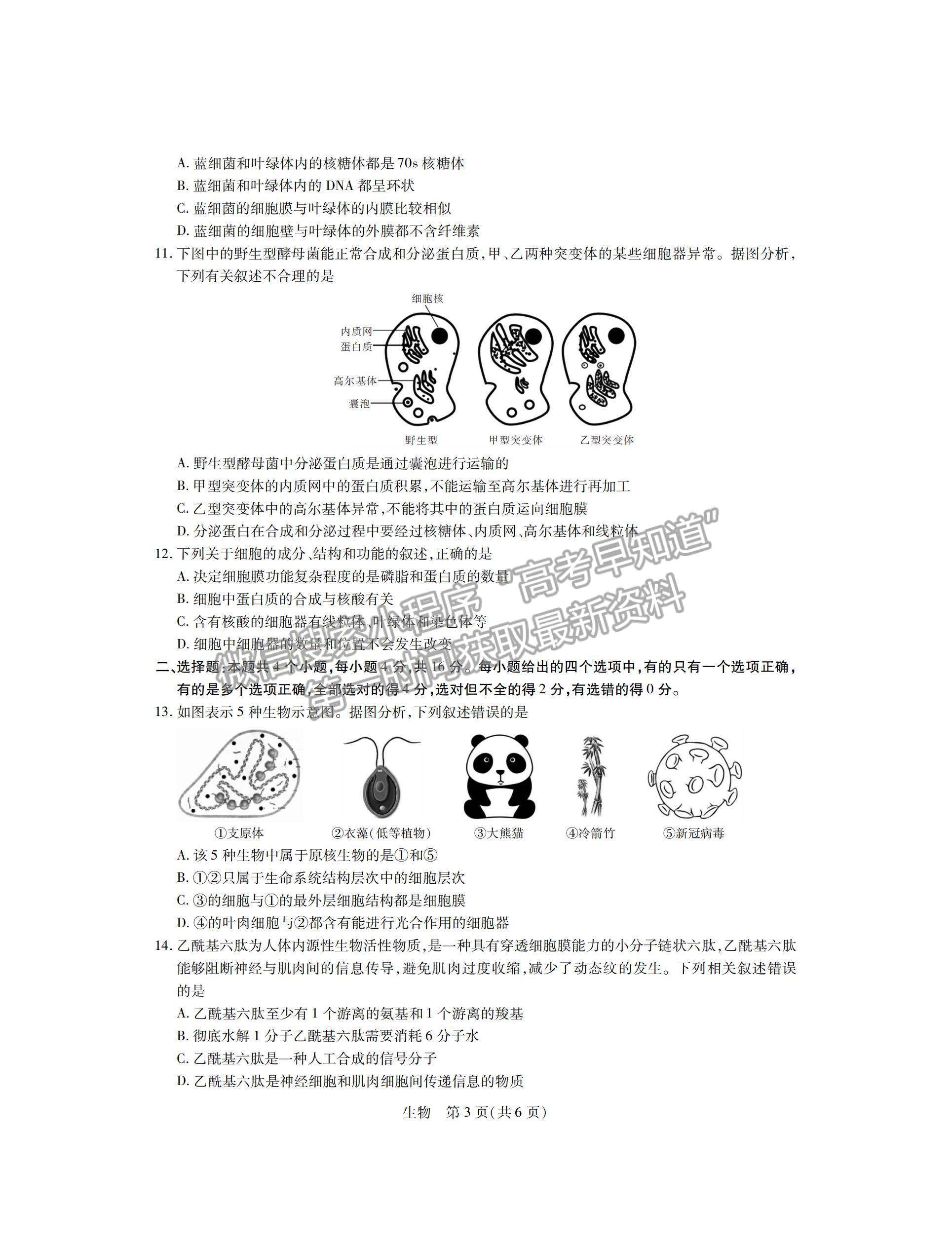 江西省穩(wěn)派2022級高一上學期11月生物期中考試