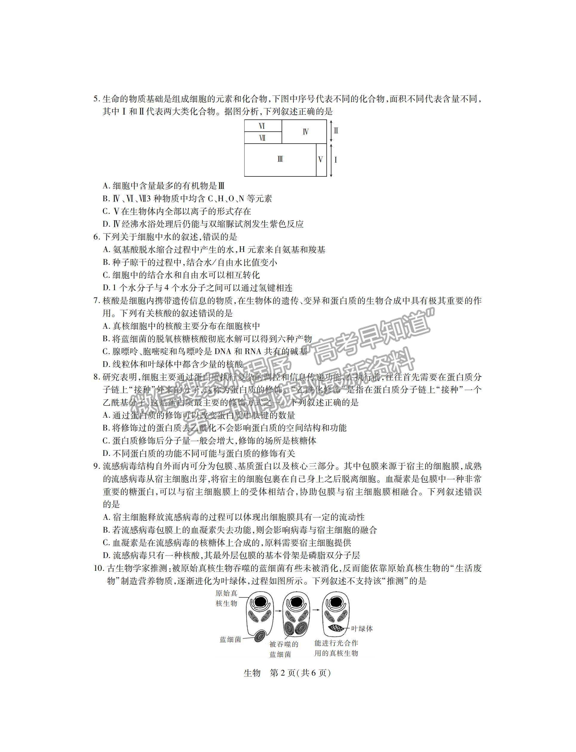 江西省穩(wěn)派2022級高一上學(xué)期11月生物期中考試