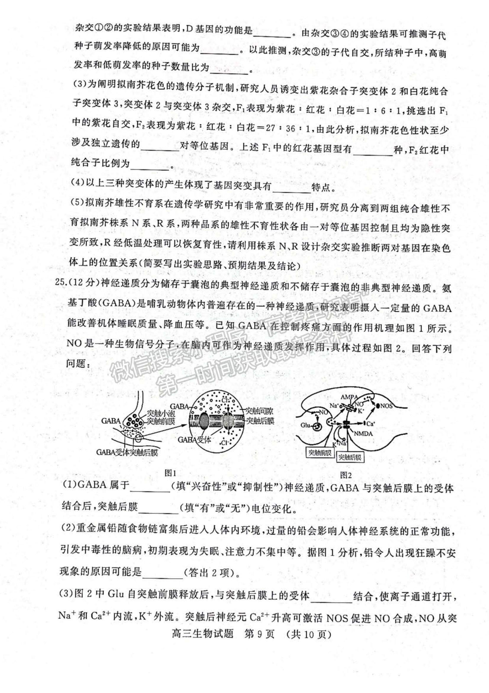 2023年山東省濟(jì)南棗莊高三期中考聯(lián)考-生物試卷及答案