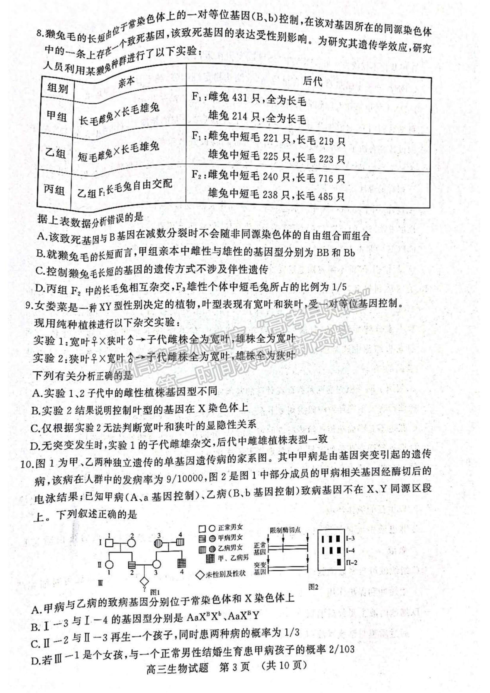 2023年山東省濟南棗莊高三期中考聯(lián)考-生物試卷及答案