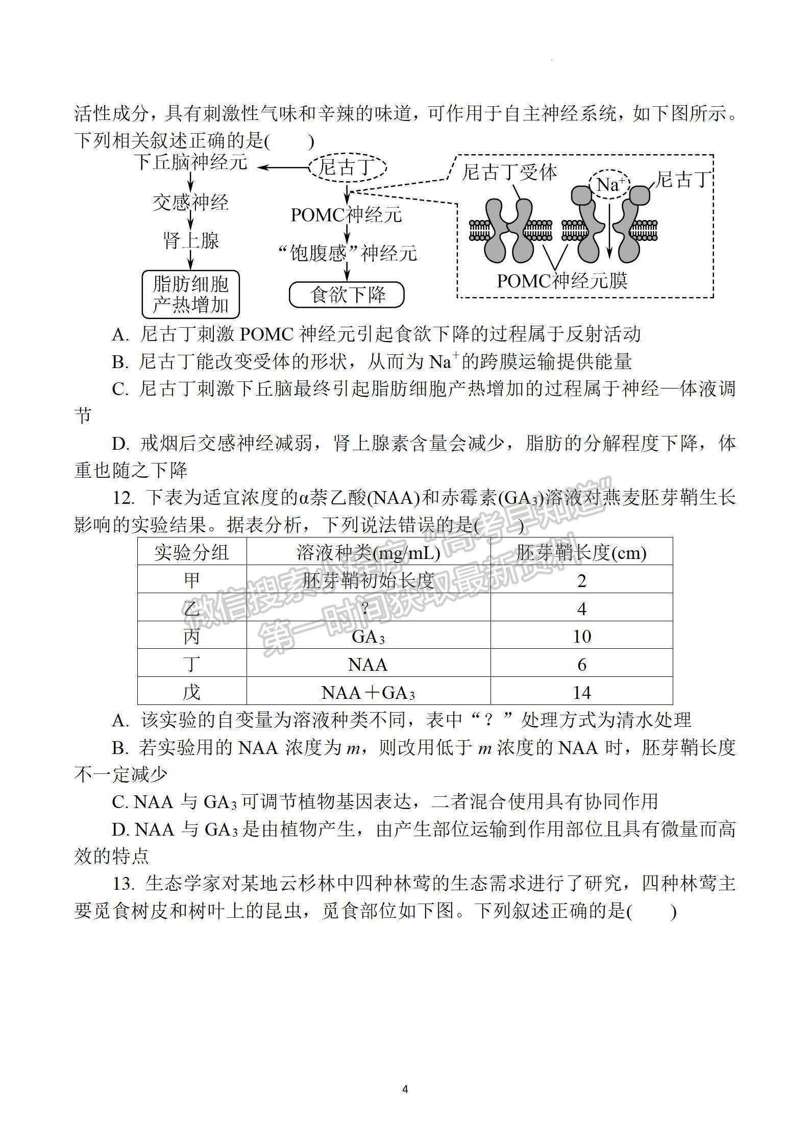 2023屆江蘇省南通市通州區(qū)高三上學期期中質(zhì)量監(jiān)測生物試題及答案