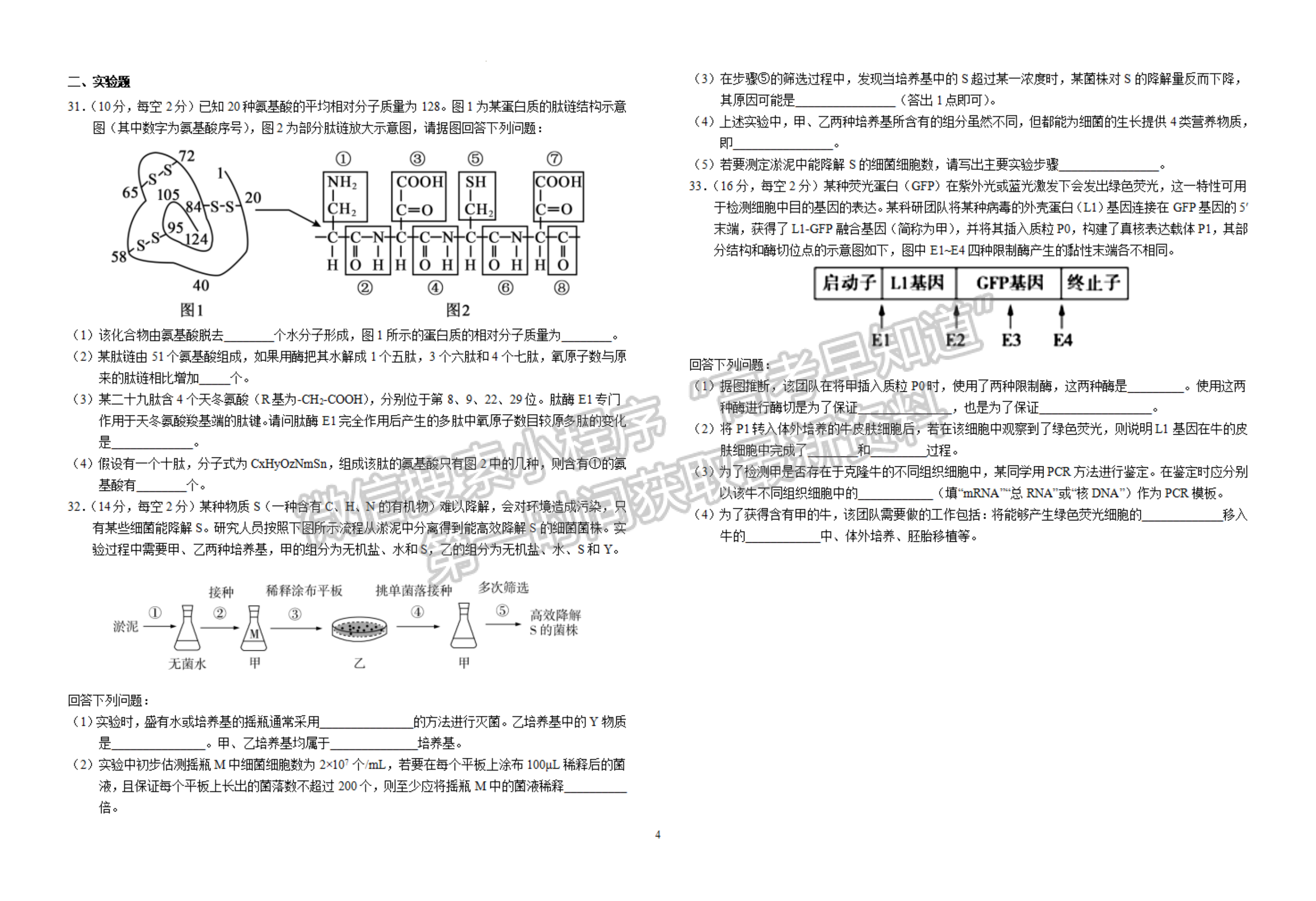 2023安徽省六安一中高三上學(xué)期第二次月考生物試題及答案