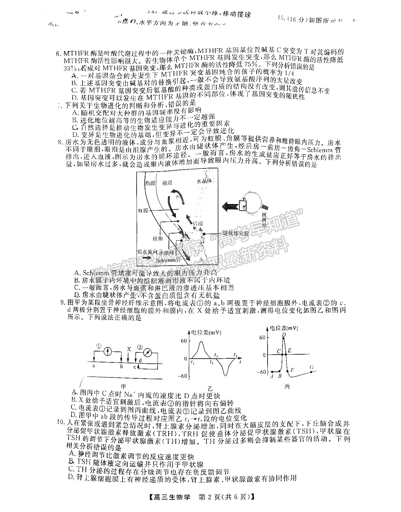 2023屆福建百校高三11月聯(lián)考生物試卷及參考答案