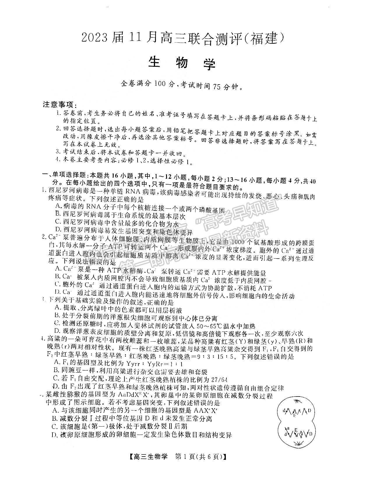 2023屆福建百校高三11月聯(lián)考生物試卷及參考答案