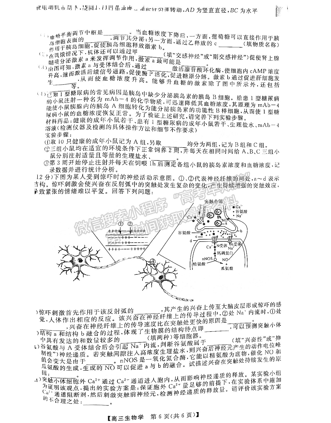 2023屆福建百校高三11月聯(lián)考生物試卷及參考答案