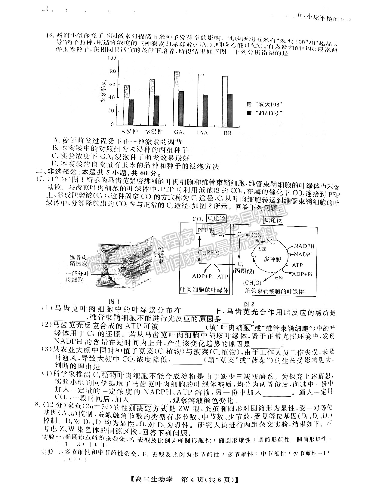 2023屆福建百校高三11月聯(lián)考生物試卷及參考答案