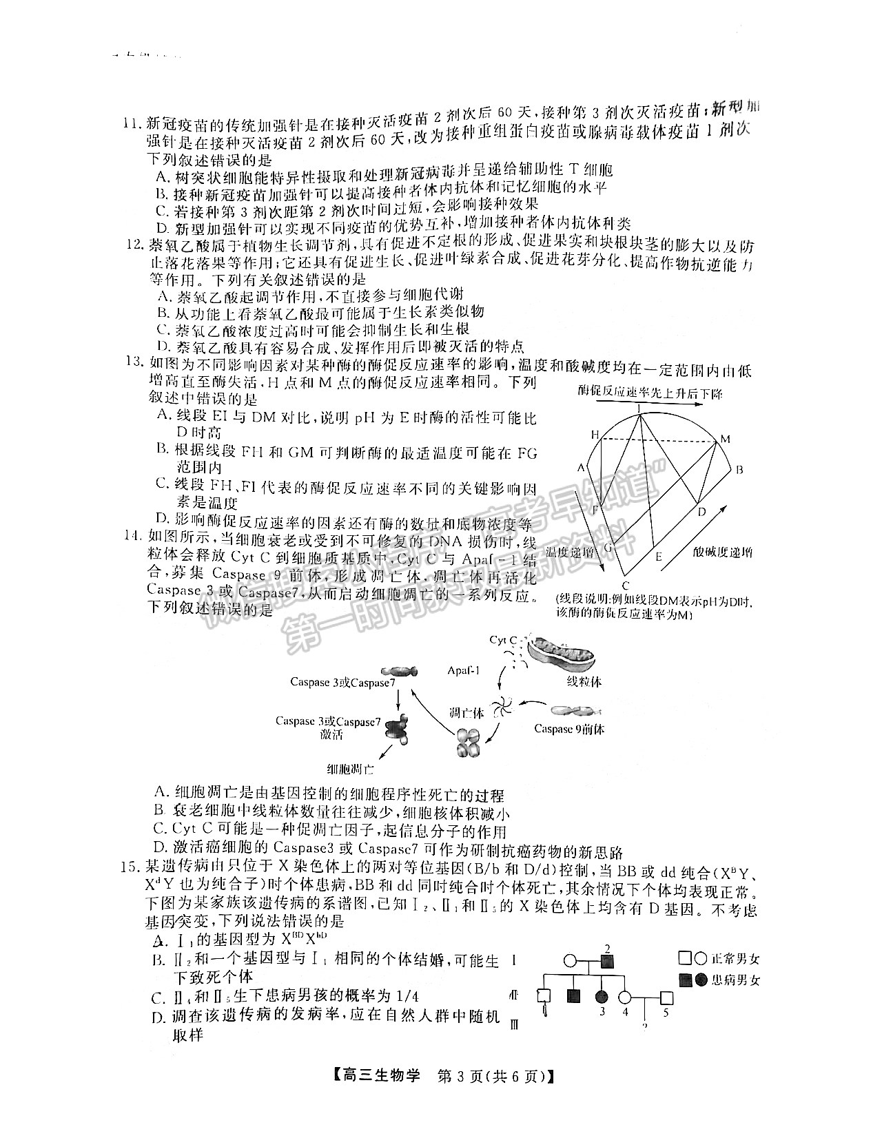 2023屆福建百校高三11月聯(lián)考生物試卷及參考答案