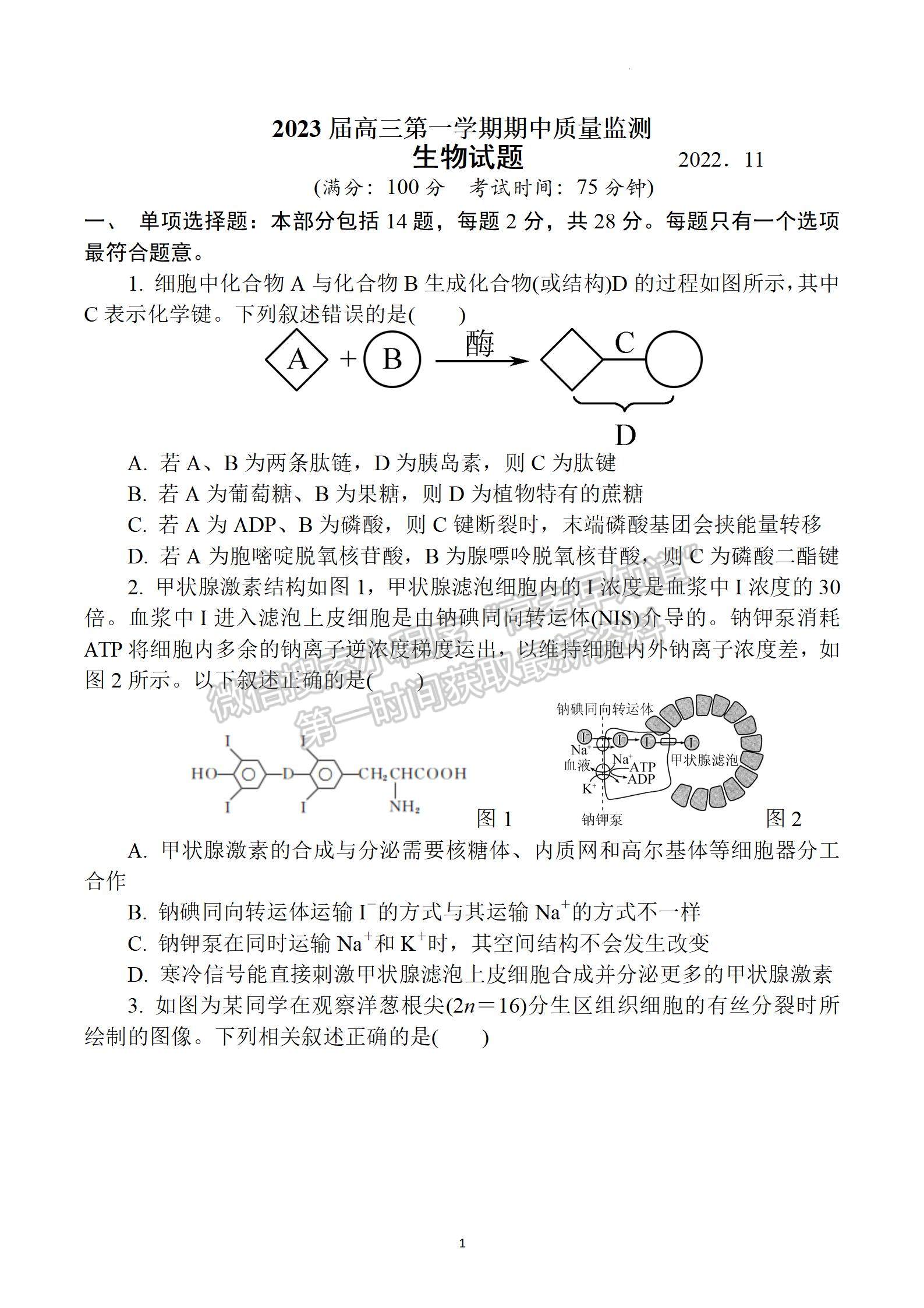 2023屆江蘇省南通市通州區(qū)高三上學(xué)期期中質(zhì)量監(jiān)測生物試題及答案