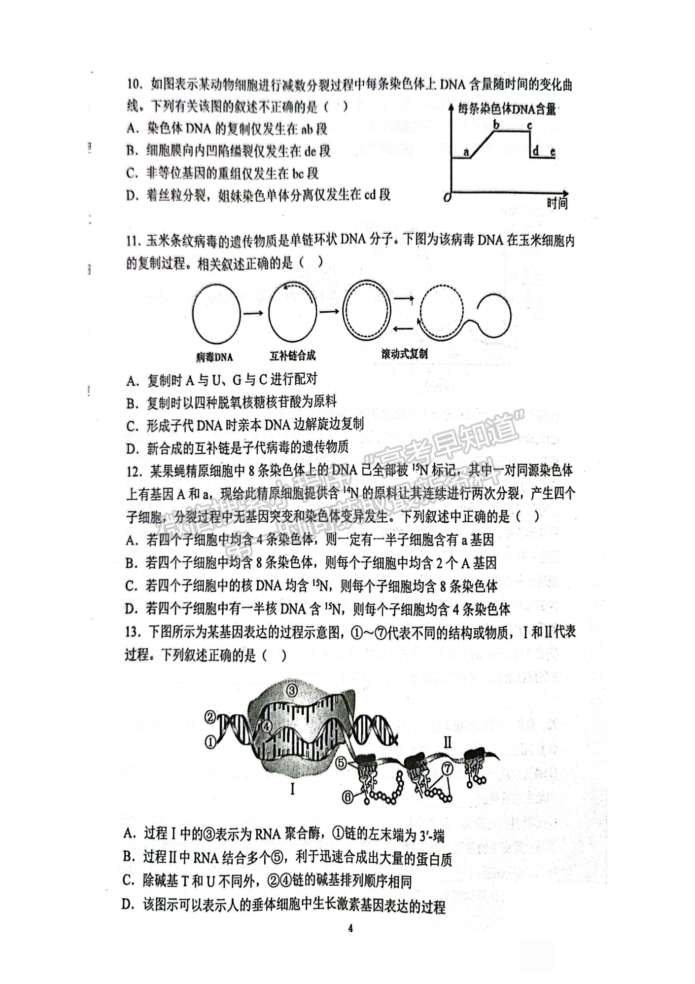 2022-2023學年湖北重點中學高三第一次聯(lián)考生物試卷及參考答案