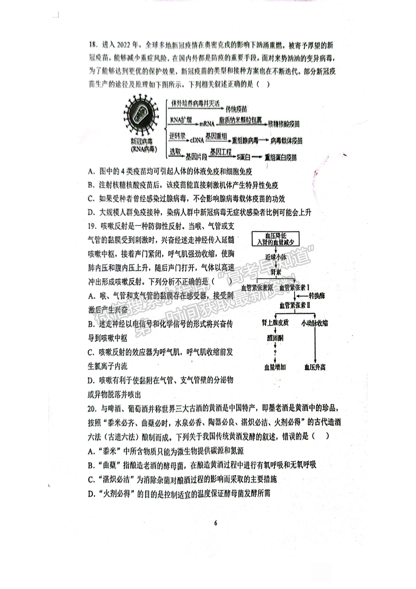 2022-2023學(xué)年湖北重點中學(xué)高三第一次聯(lián)考生物試卷及參考答案