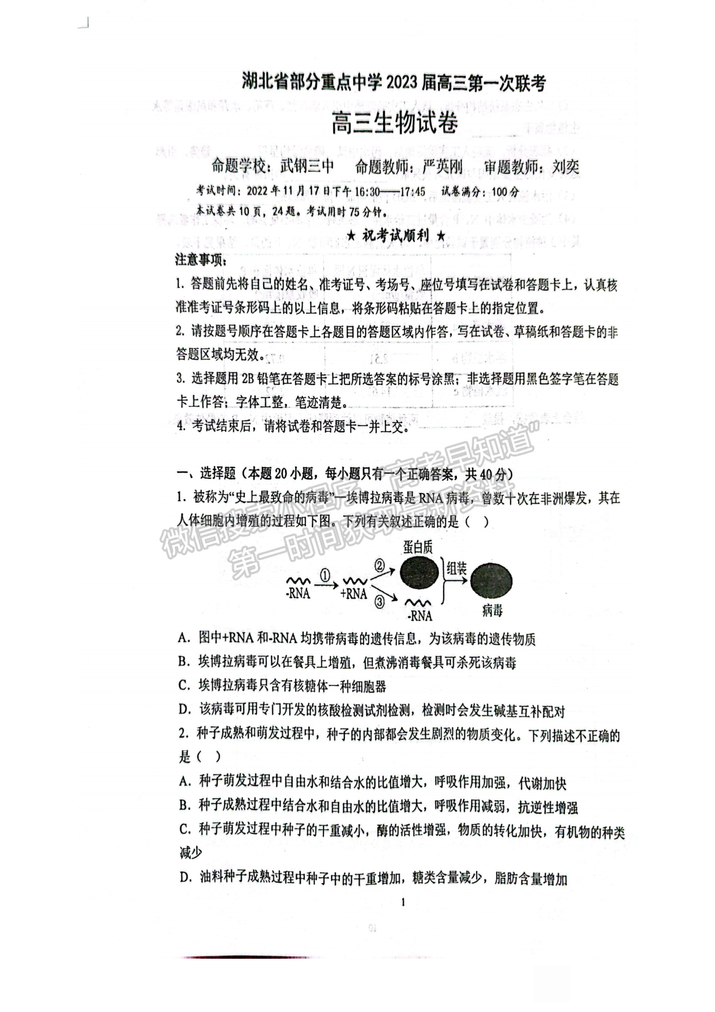 2022-2023學(xué)年湖北重點(diǎn)中學(xué)高三第一次聯(lián)考生物試卷及參考答案