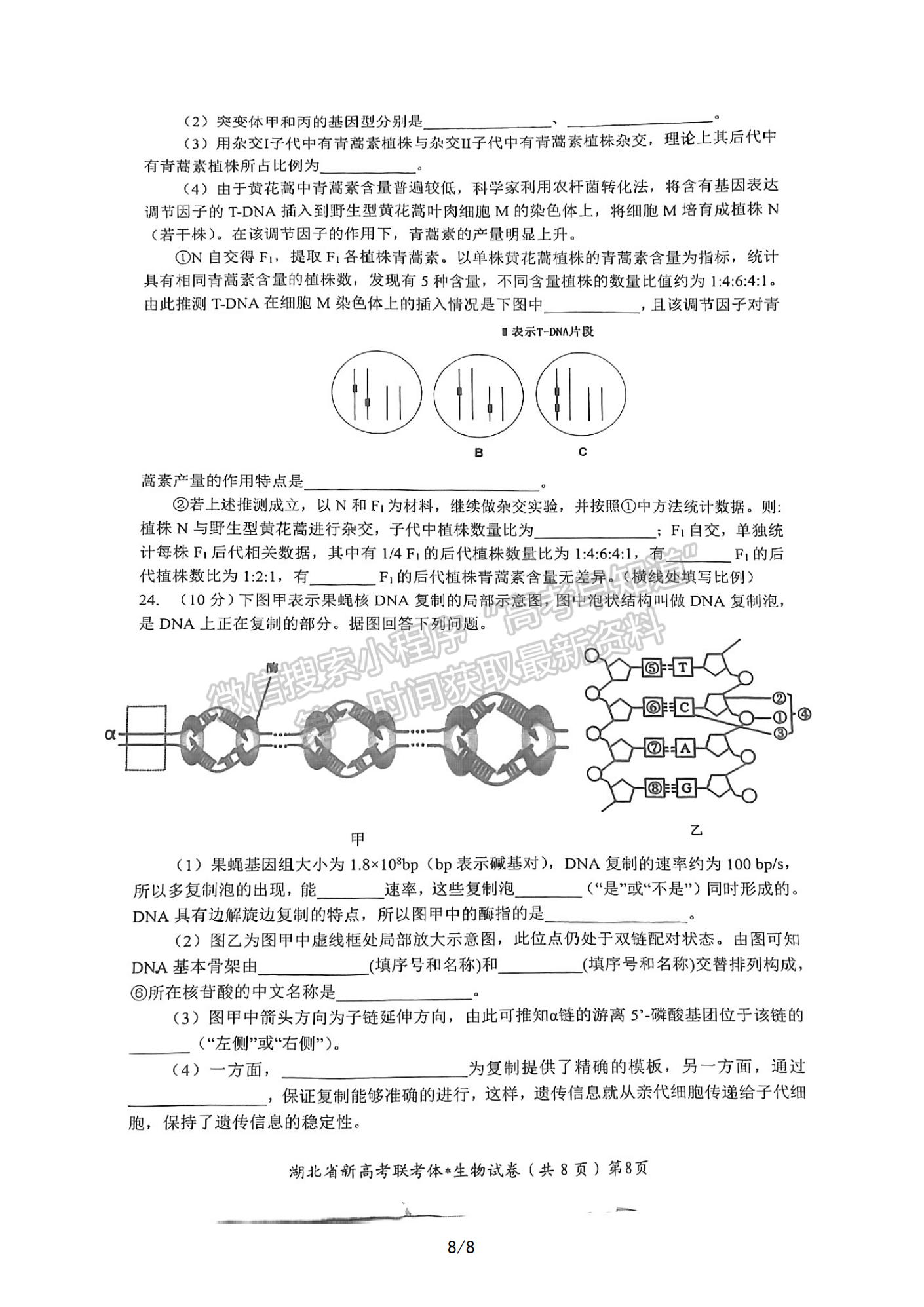 2022-2023學年湖北省荊荊宜三校高三上學期11月聯(lián)考生物試卷及參考答案