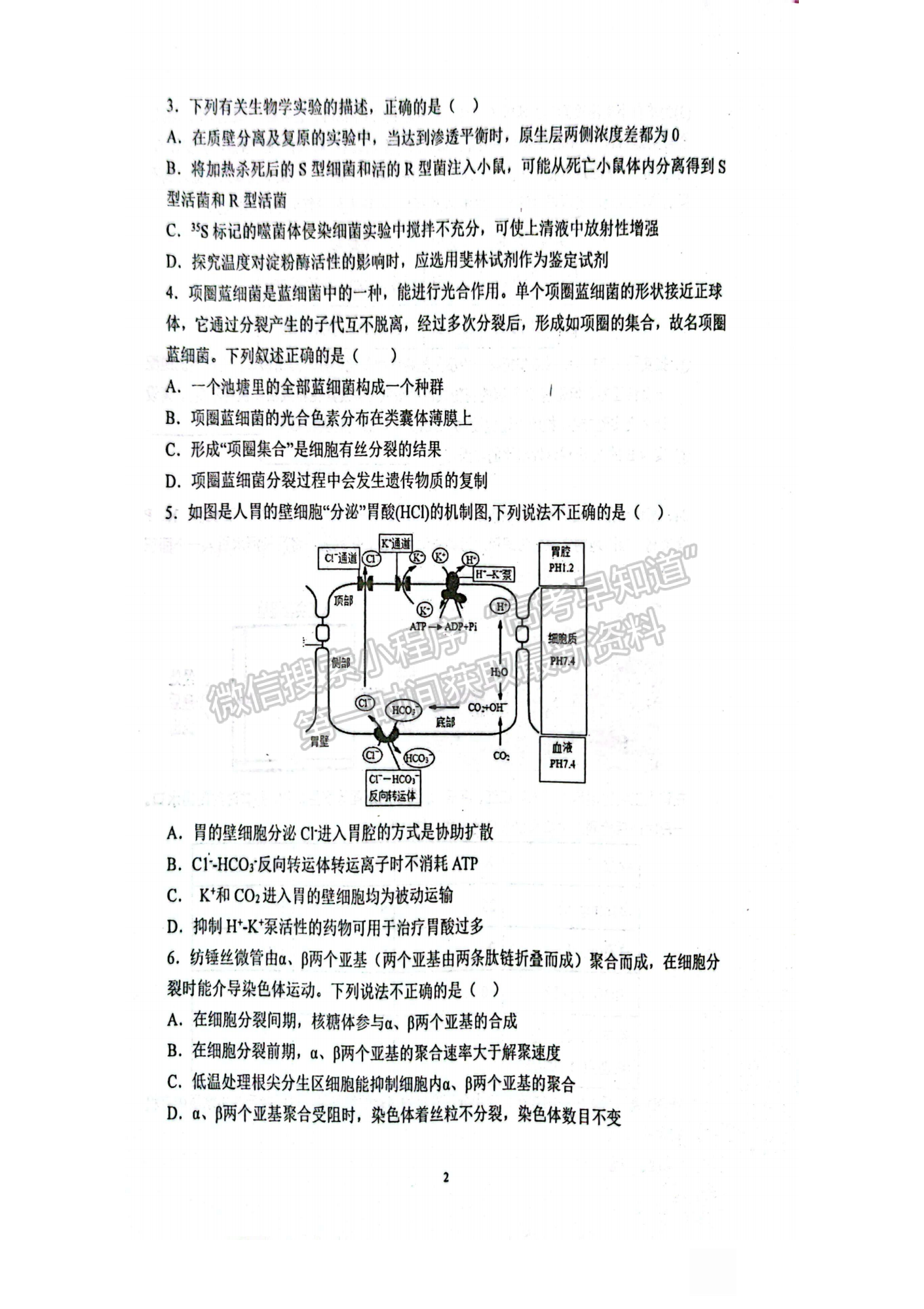 2022-2023學年湖北重點中學高三第一次聯(lián)考生物試卷及參考答案