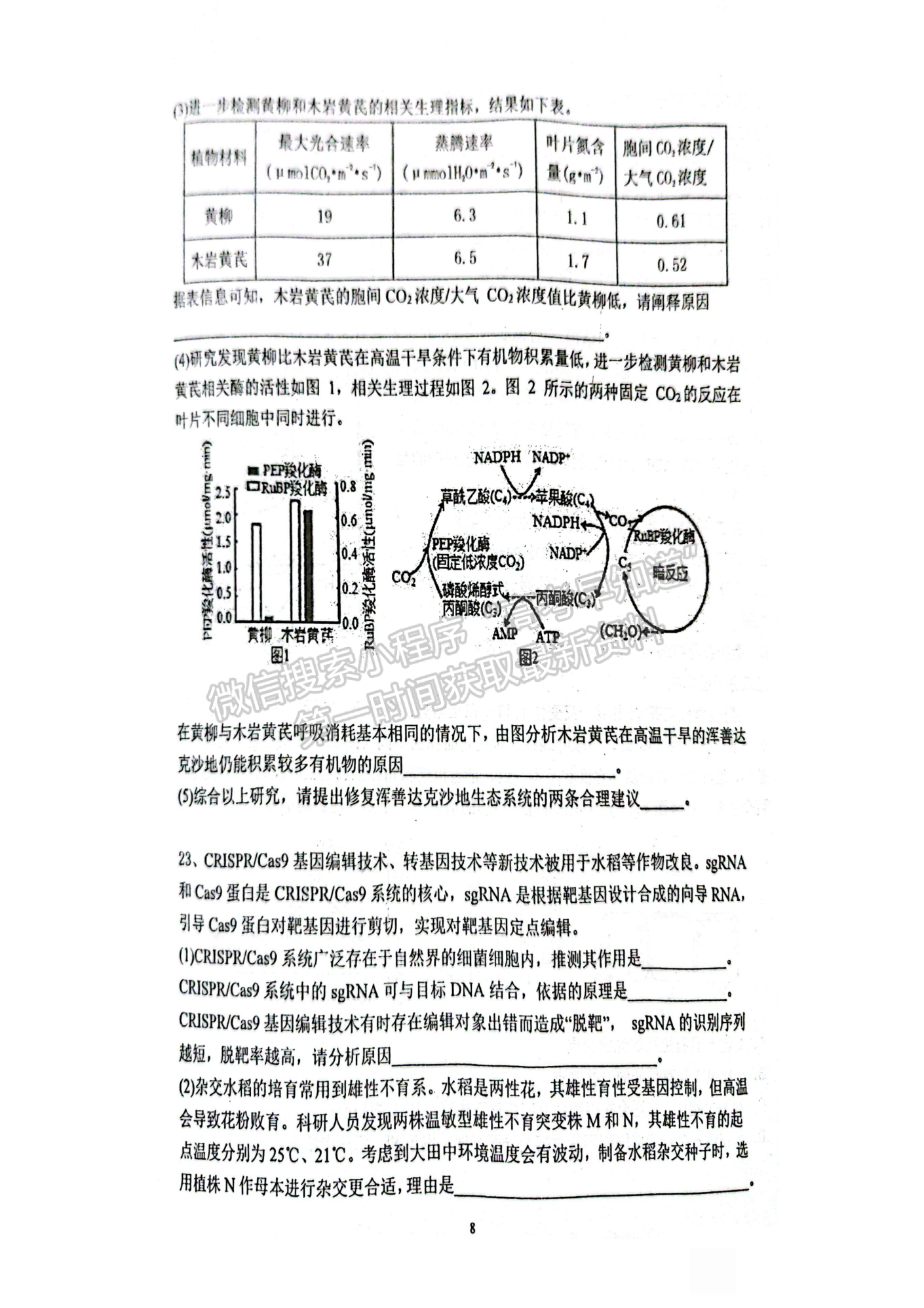 2022-2023學(xué)年湖北重點中學(xué)高三第一次聯(lián)考生物試卷及參考答案