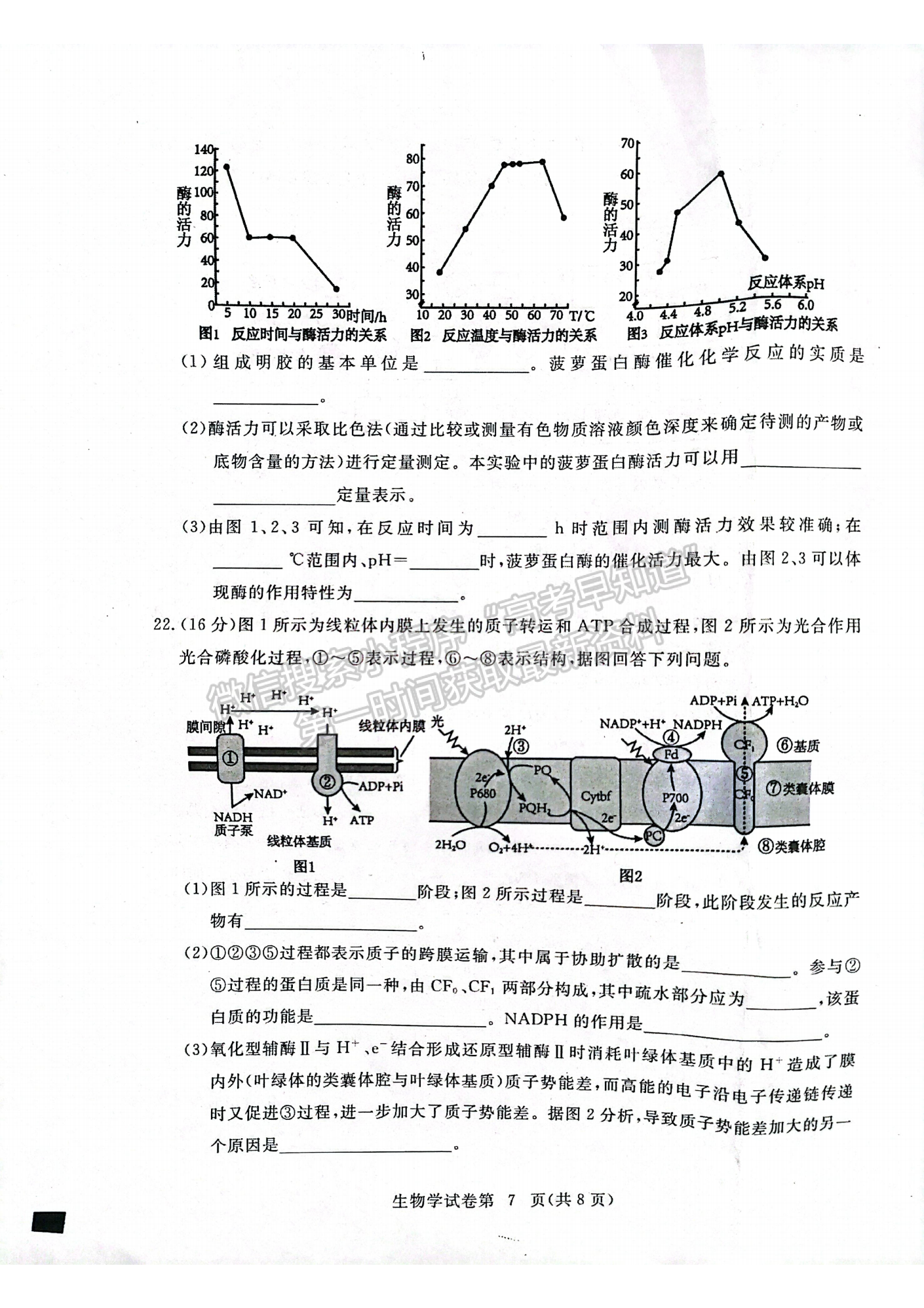 湖北省黃岡市2022-2023學年高三上學期11月期中考生物試卷及答案