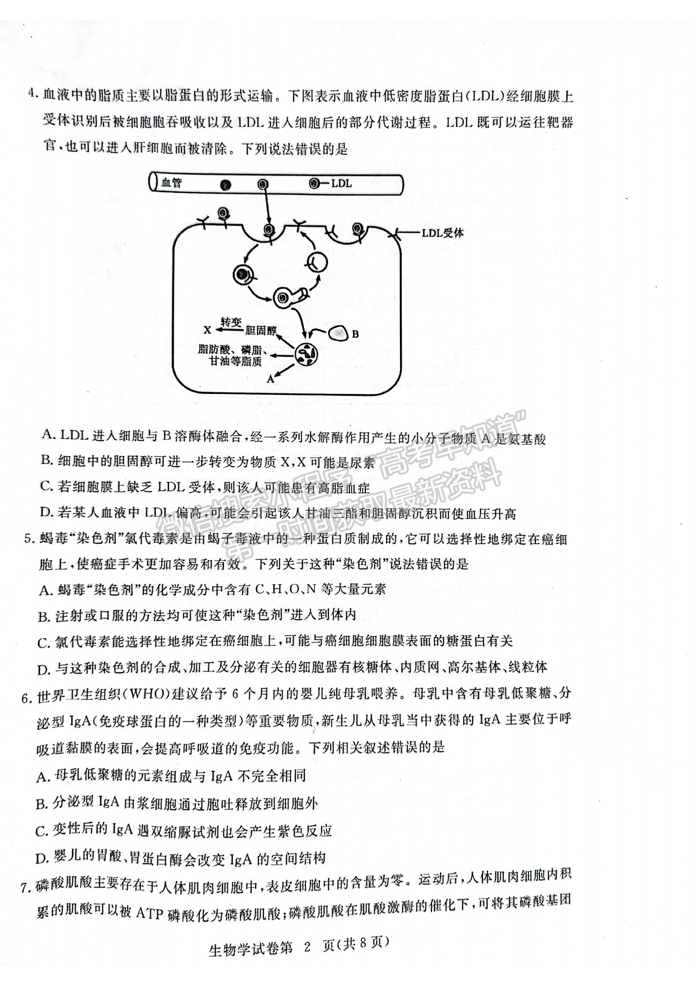 湖北省黃岡市2022-2023學(xué)年高三上學(xué)期11月期中考生物試卷及答案