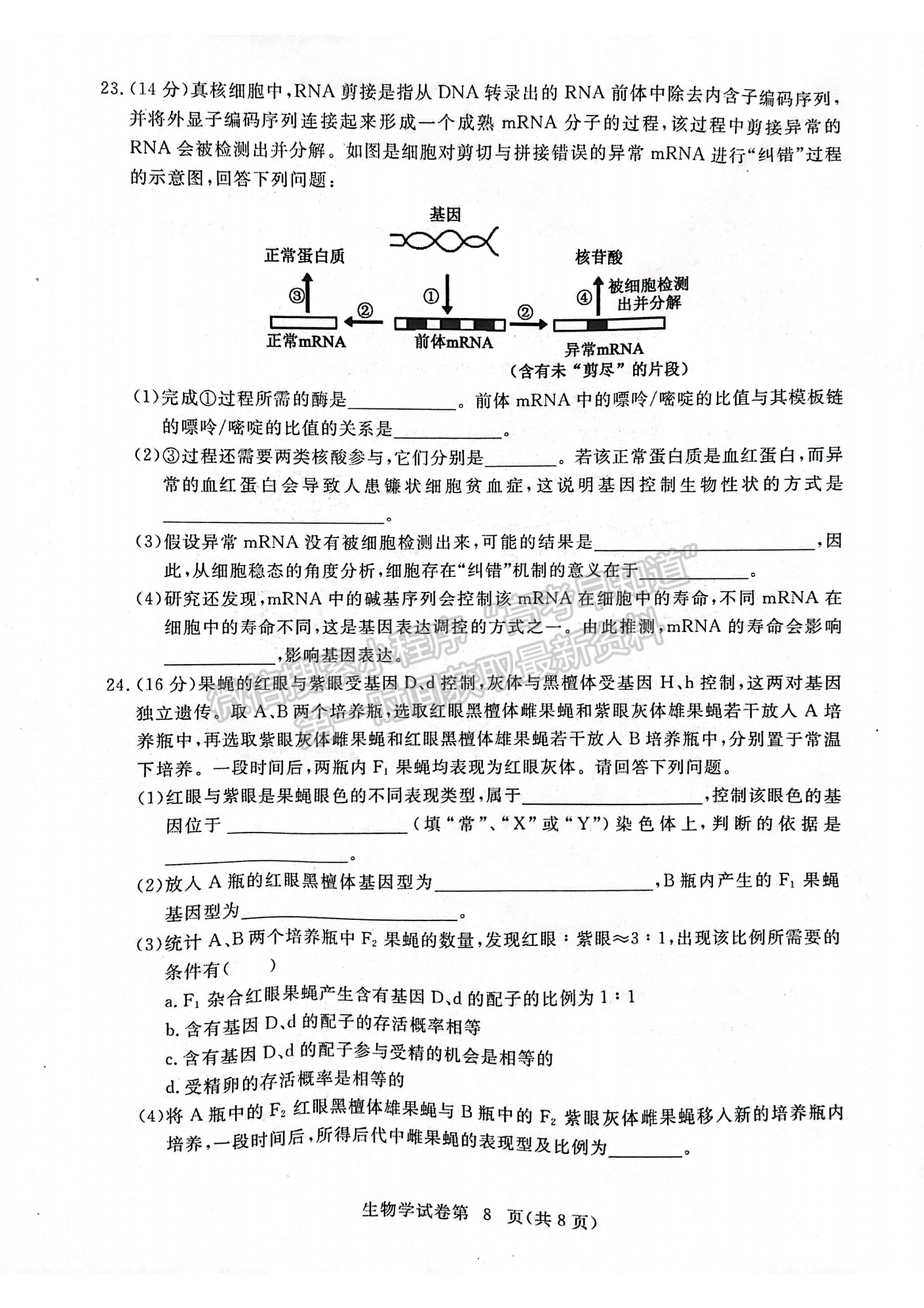 湖北省黃岡市2022-2023學年高三上學期11月期中考生物試卷及答案