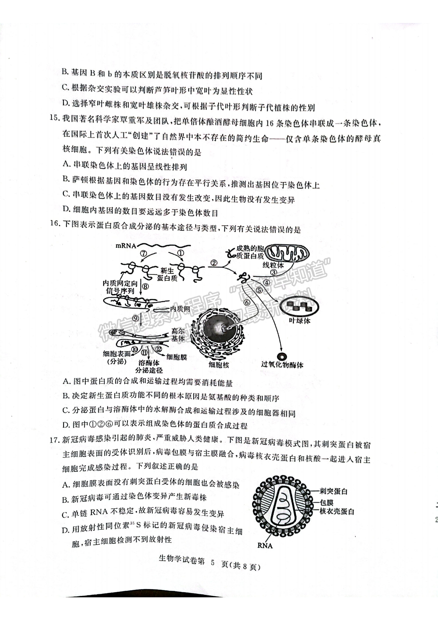 湖北省黃岡市2022-2023學年高三上學期11月期中考生物試卷及答案