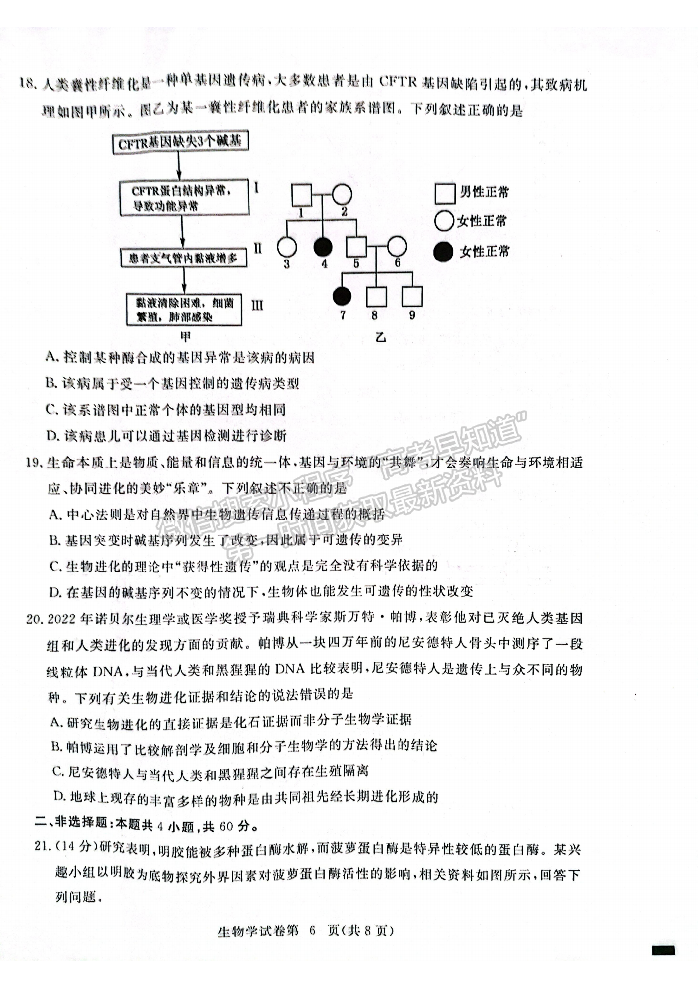 湖北省黃岡市2022-2023學年高三上學期11月期中考生物試卷及答案