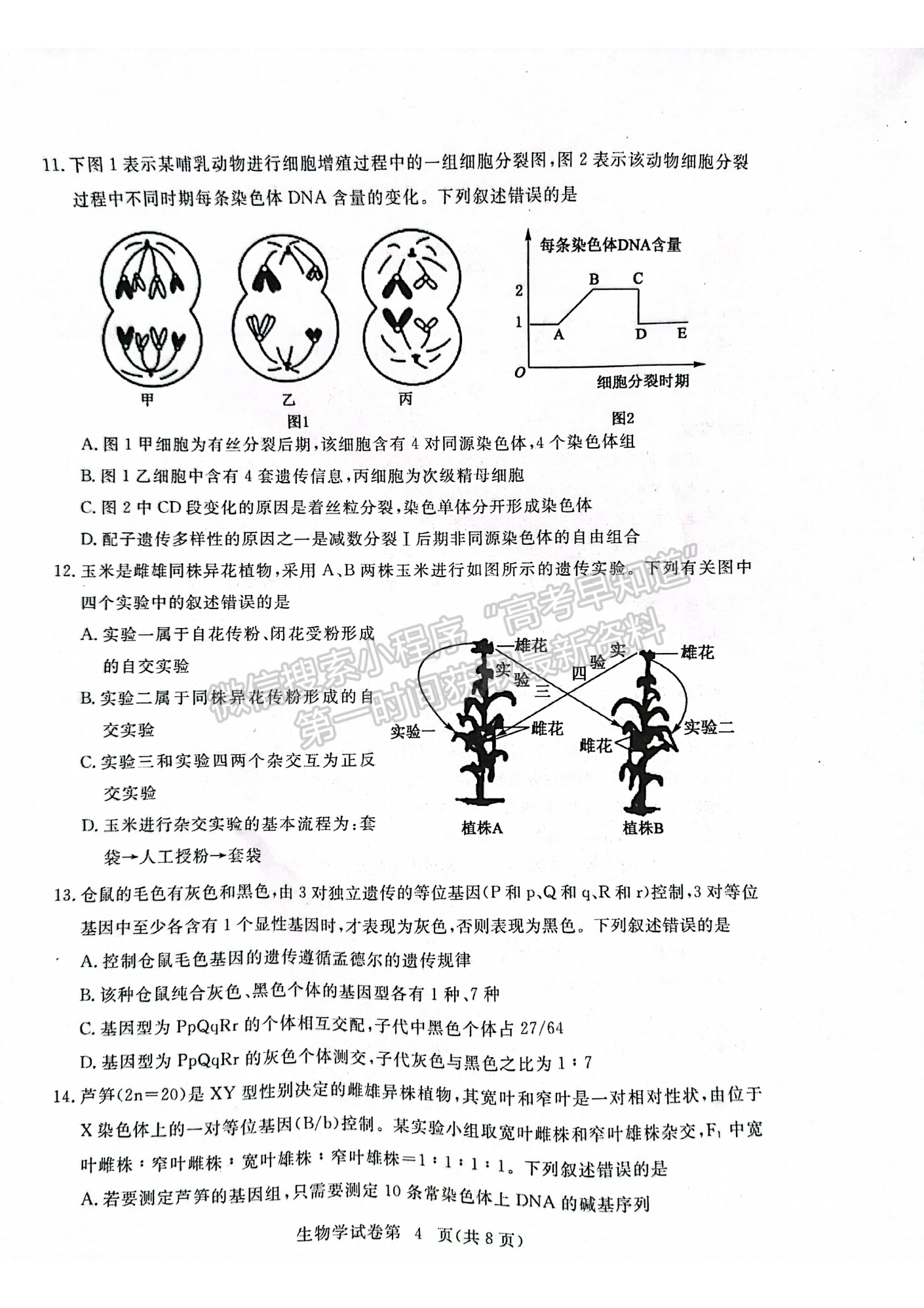 湖北省黃岡市2022-2023學(xué)年高三上學(xué)期11月期中考生物試卷及答案