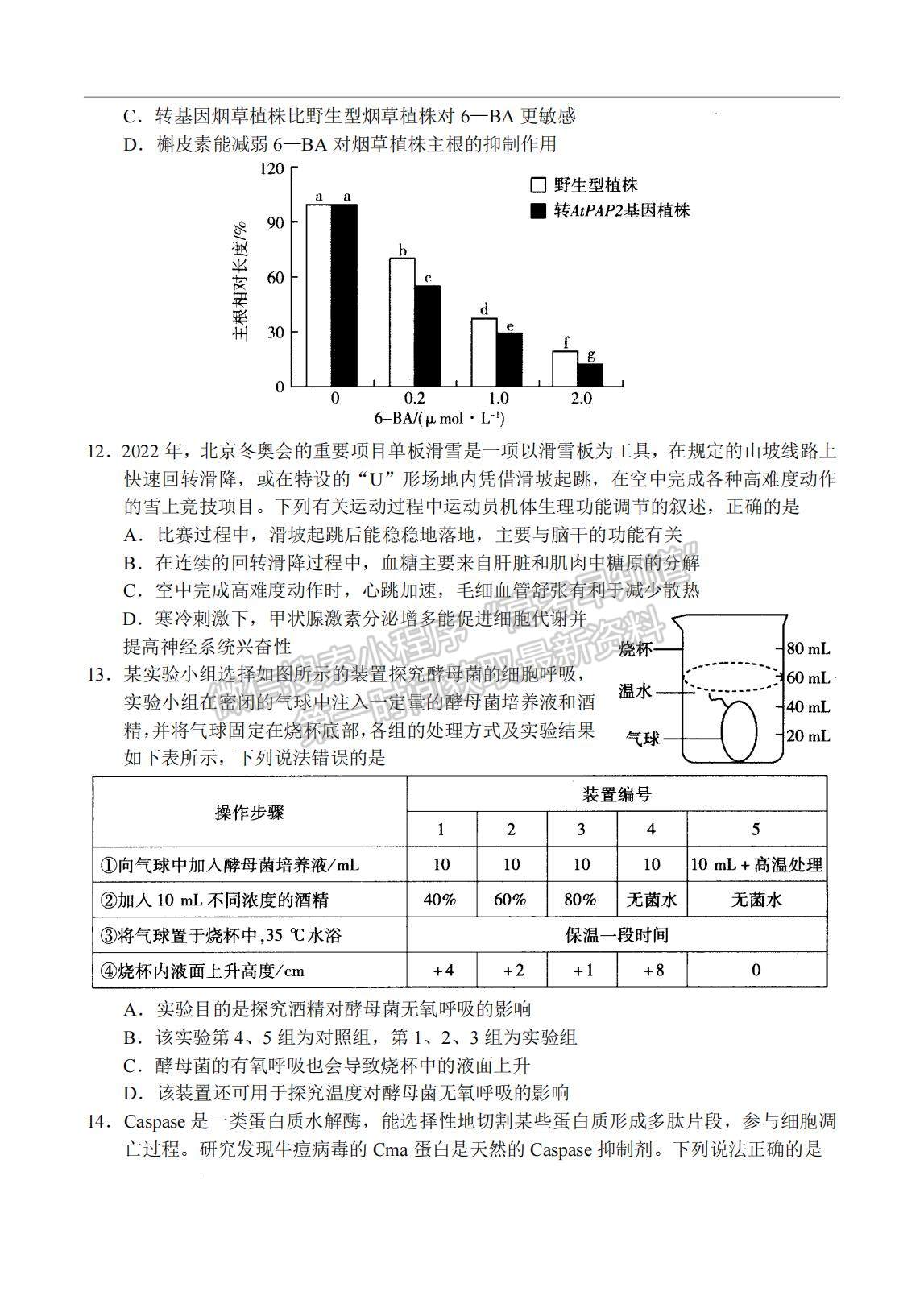 2023河南省十所名校高三上學期尖子生第一次考試生物試題及參考答案