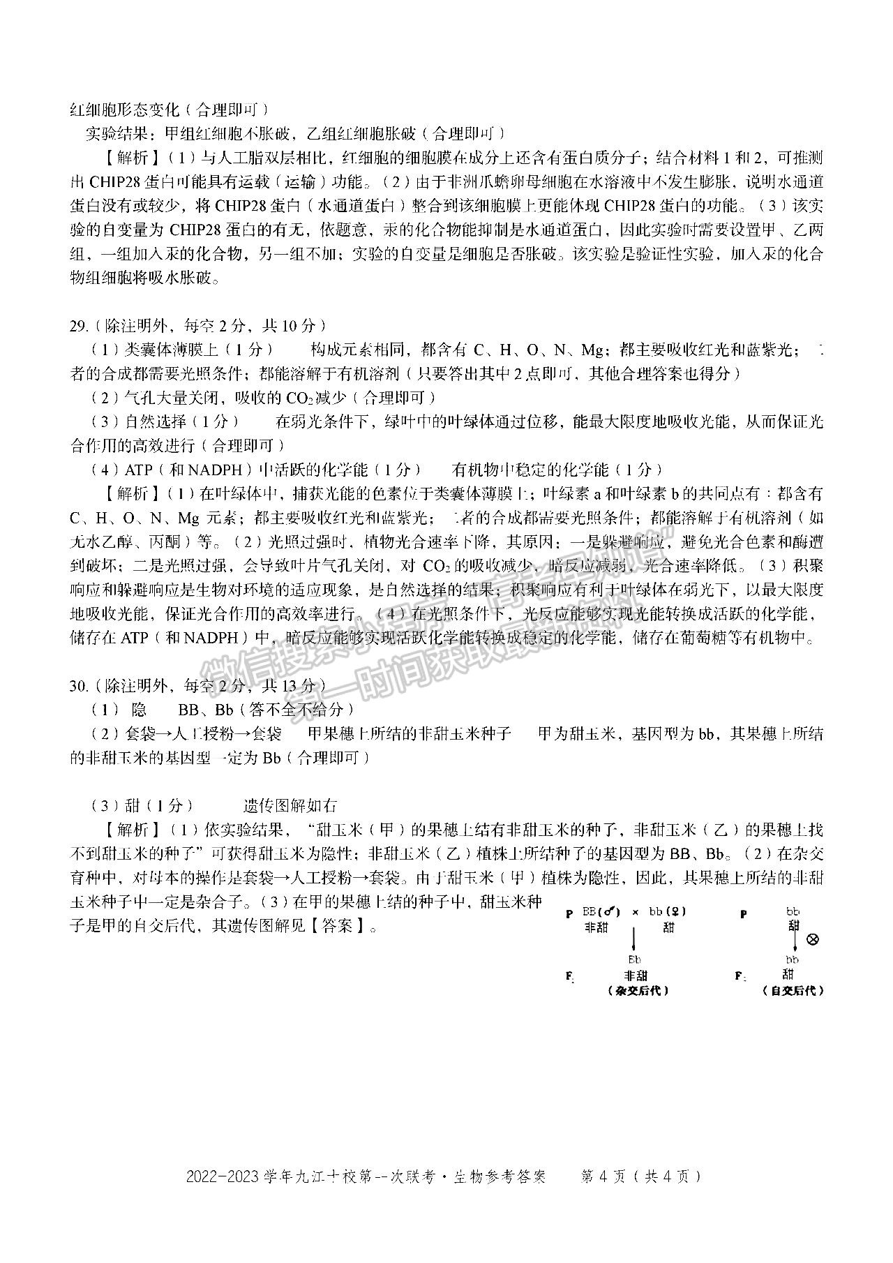 2023江西九江十校高三聯(lián)考生物試題及答案