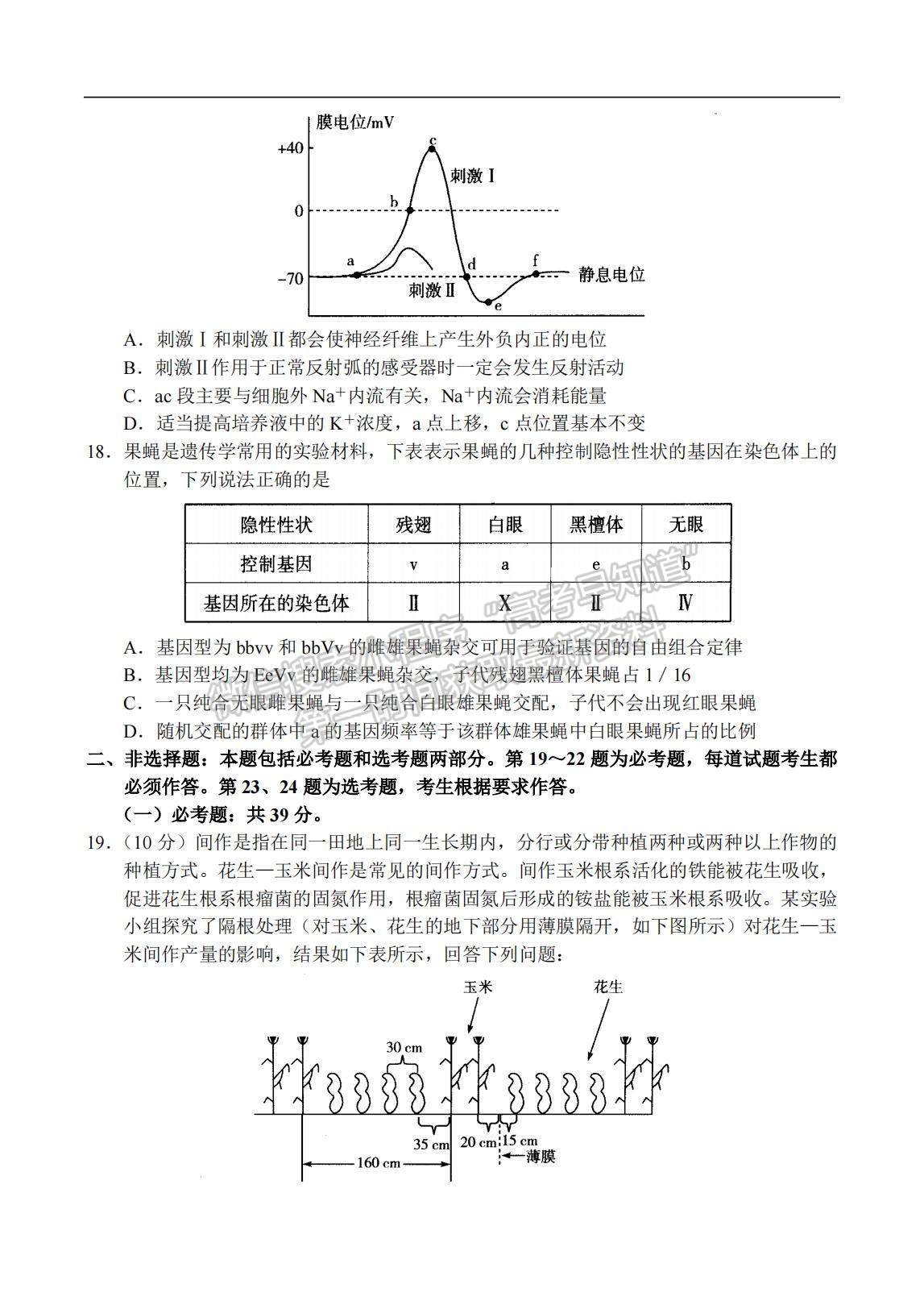 2023河南省十所名校高三上學期尖子生第一次考試生物試題及參考答案