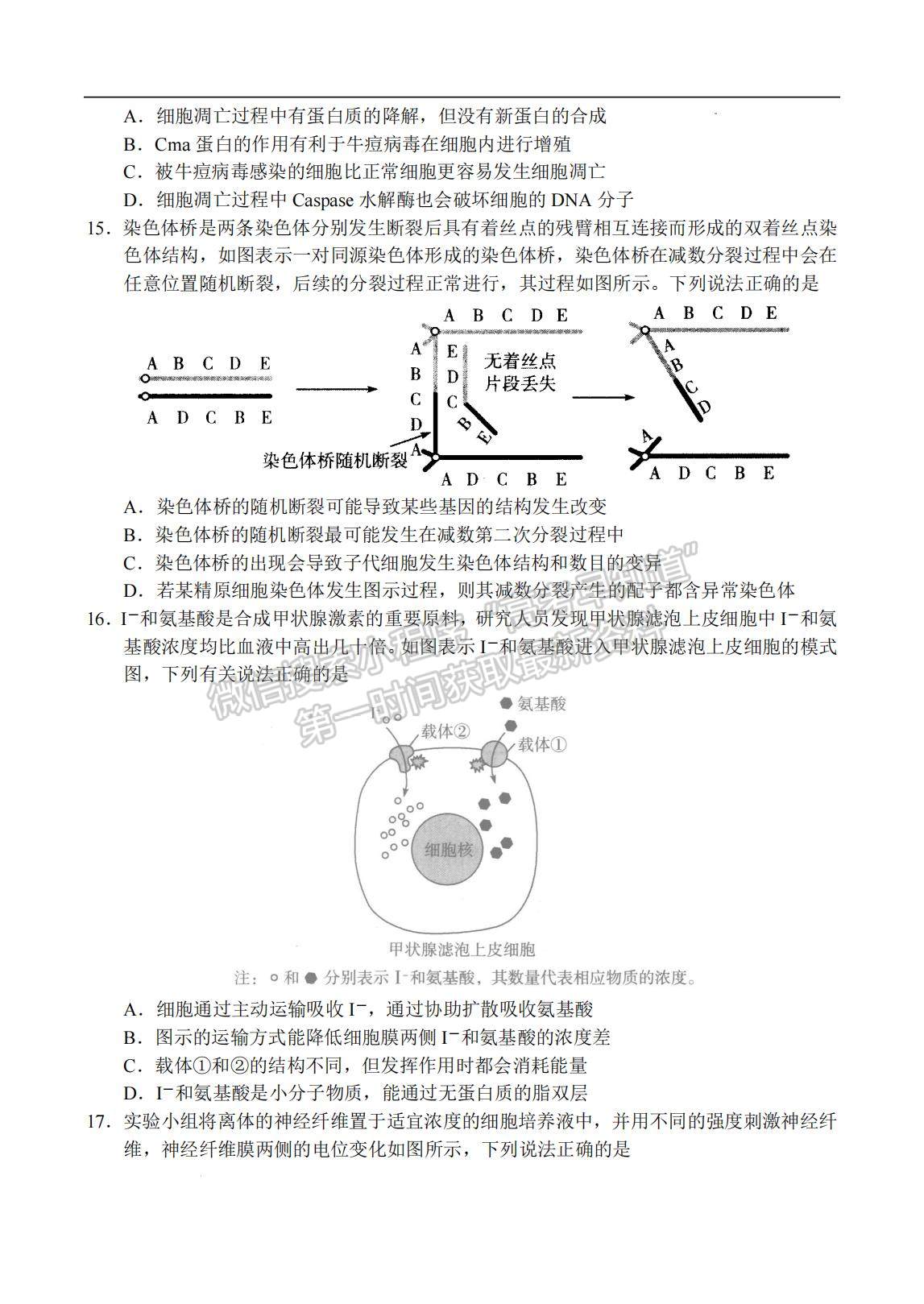 2023河南省十所名校高三上學(xué)期尖子生第一次考試生物試題及參考答案