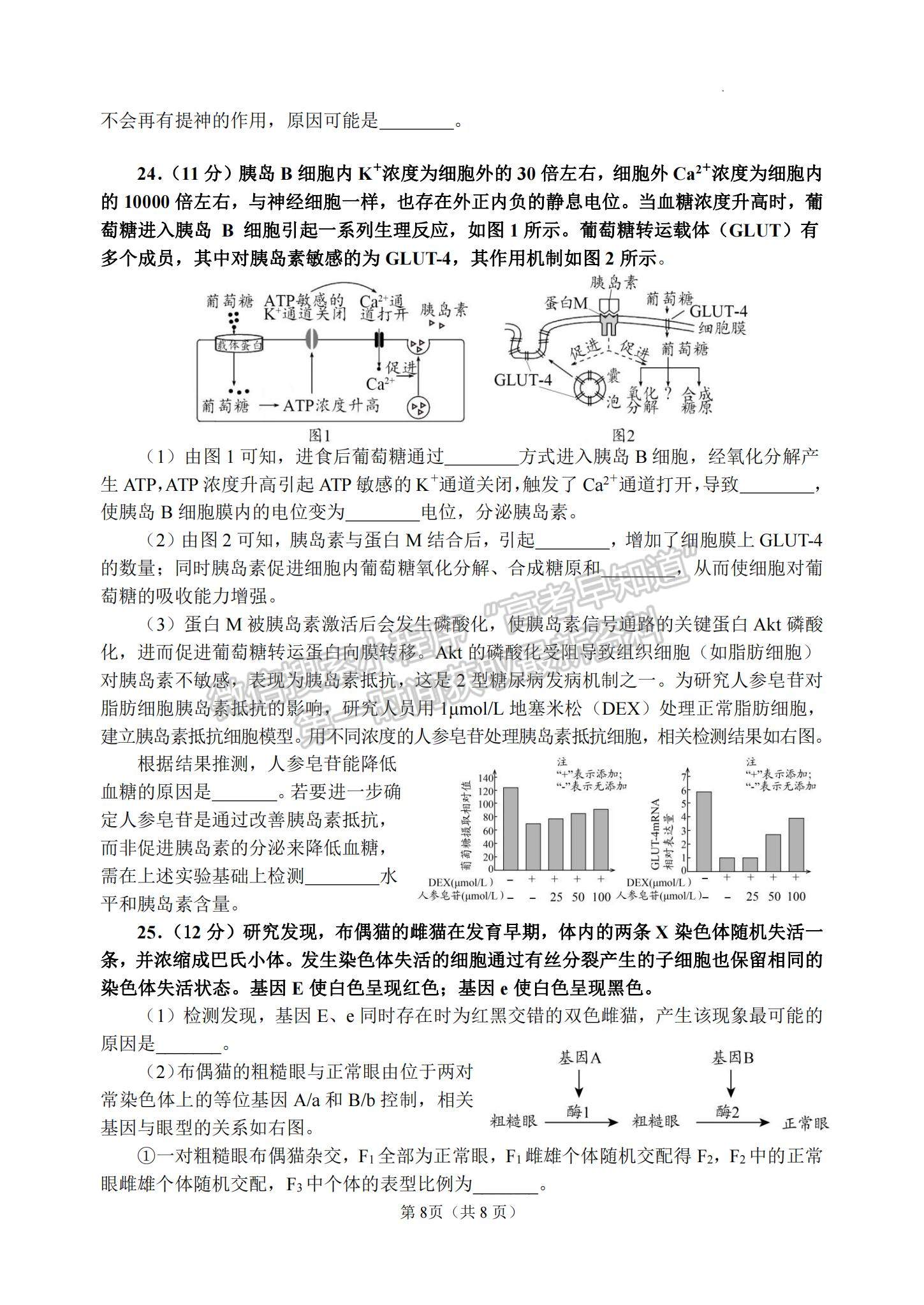 2023山東省日照市高三上學(xué)期校際期中聯(lián)考-生物試卷及答案