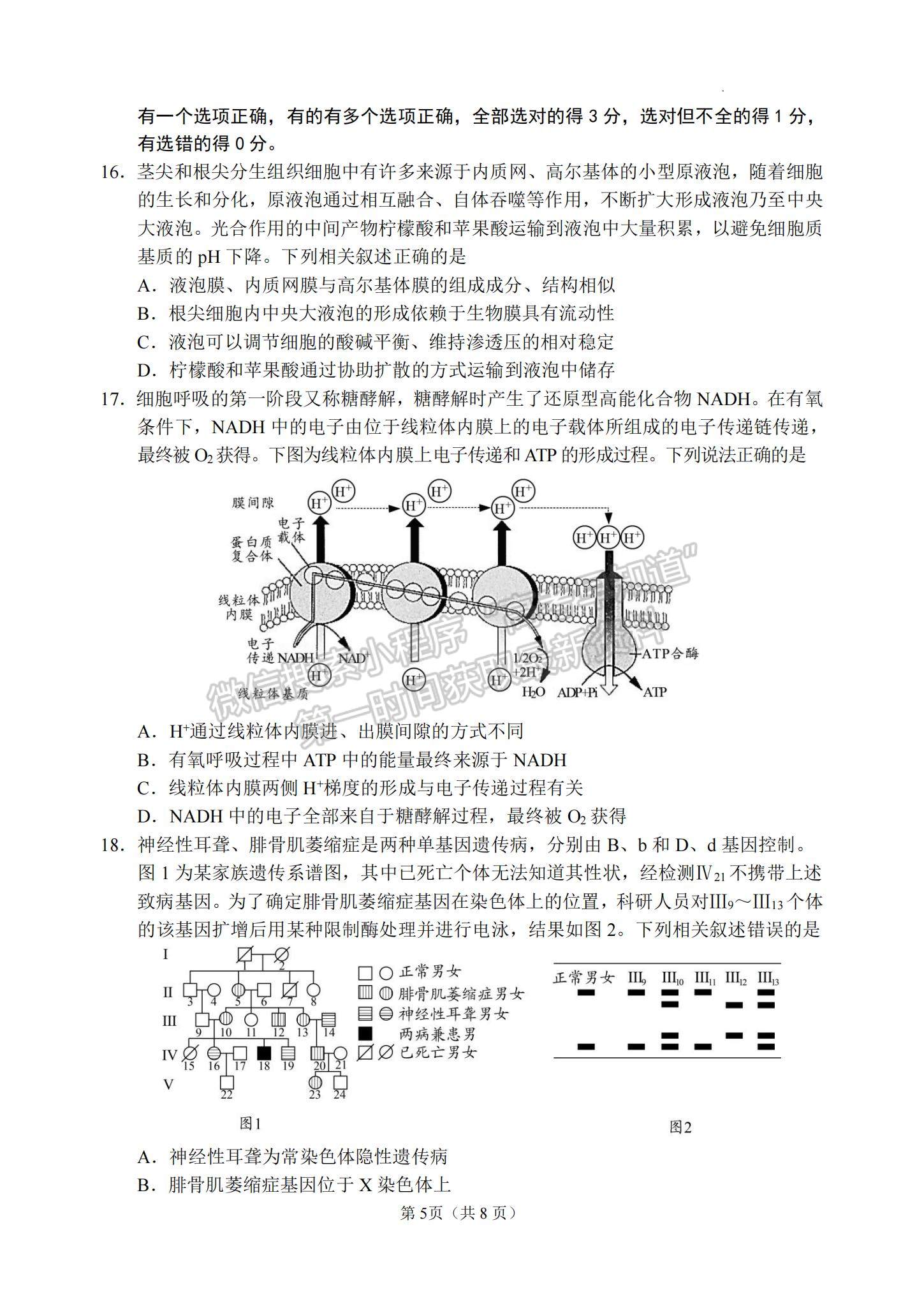 2023山東省日照市高三上學(xué)期校際期中聯(lián)考-生物試卷及答案