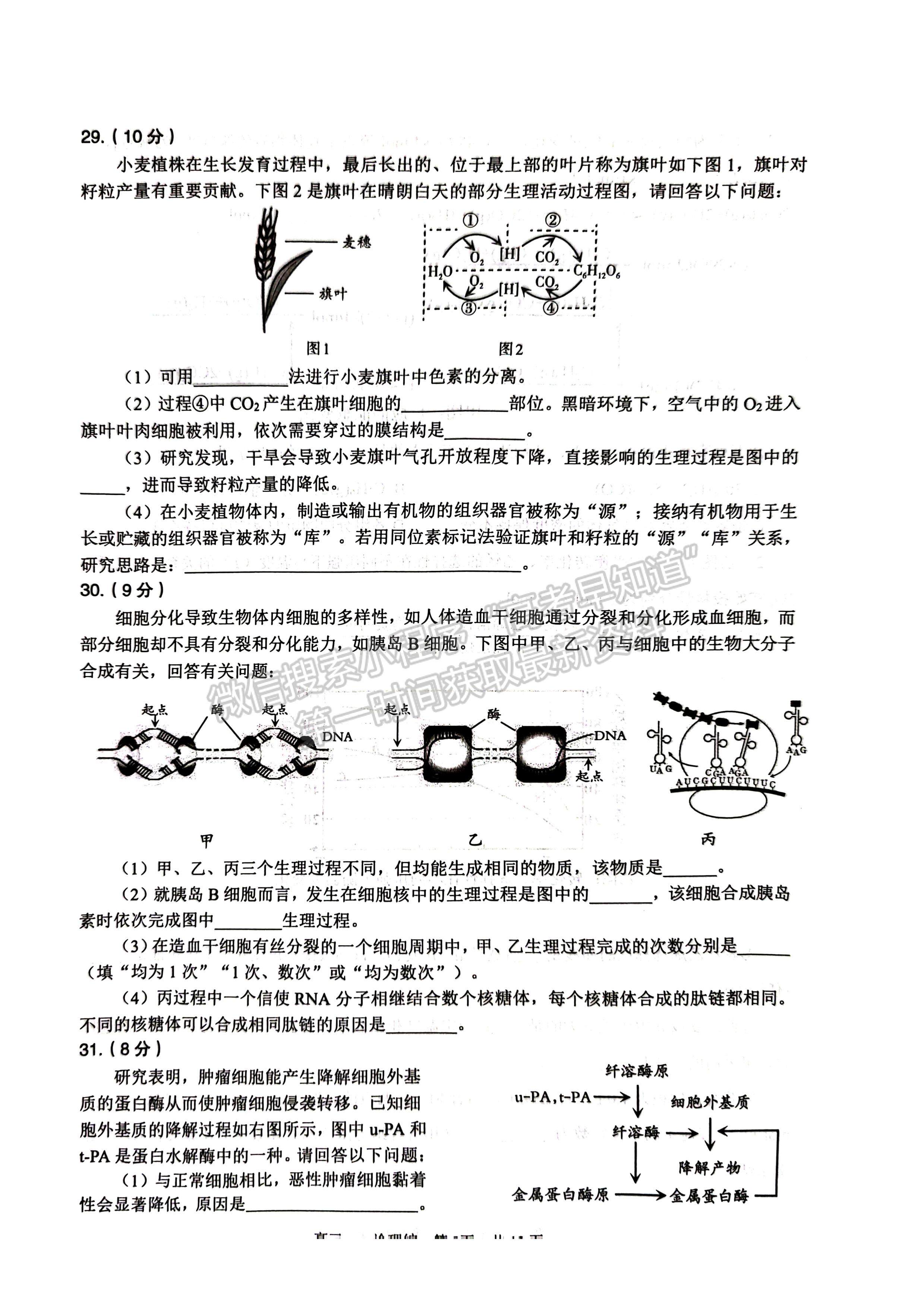 2023四川省瀘州市高2020級(jí)第一次教學(xué)質(zhì)量診斷性考試?yán)砜凭C合試題及答案