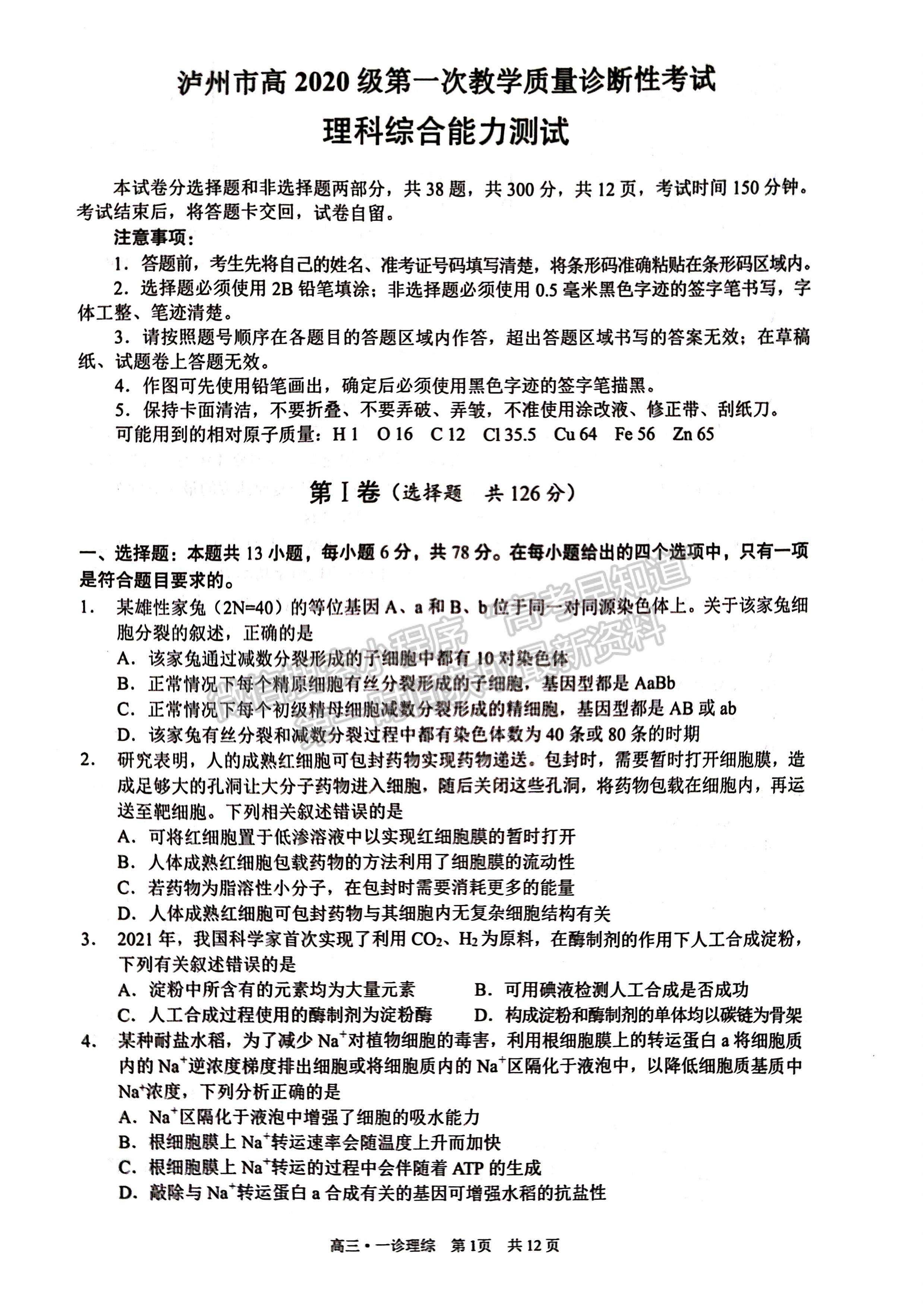 2023四川省瀘州市高2020級第一次教學質(zhì)量診斷性考試理科綜合試題及答案