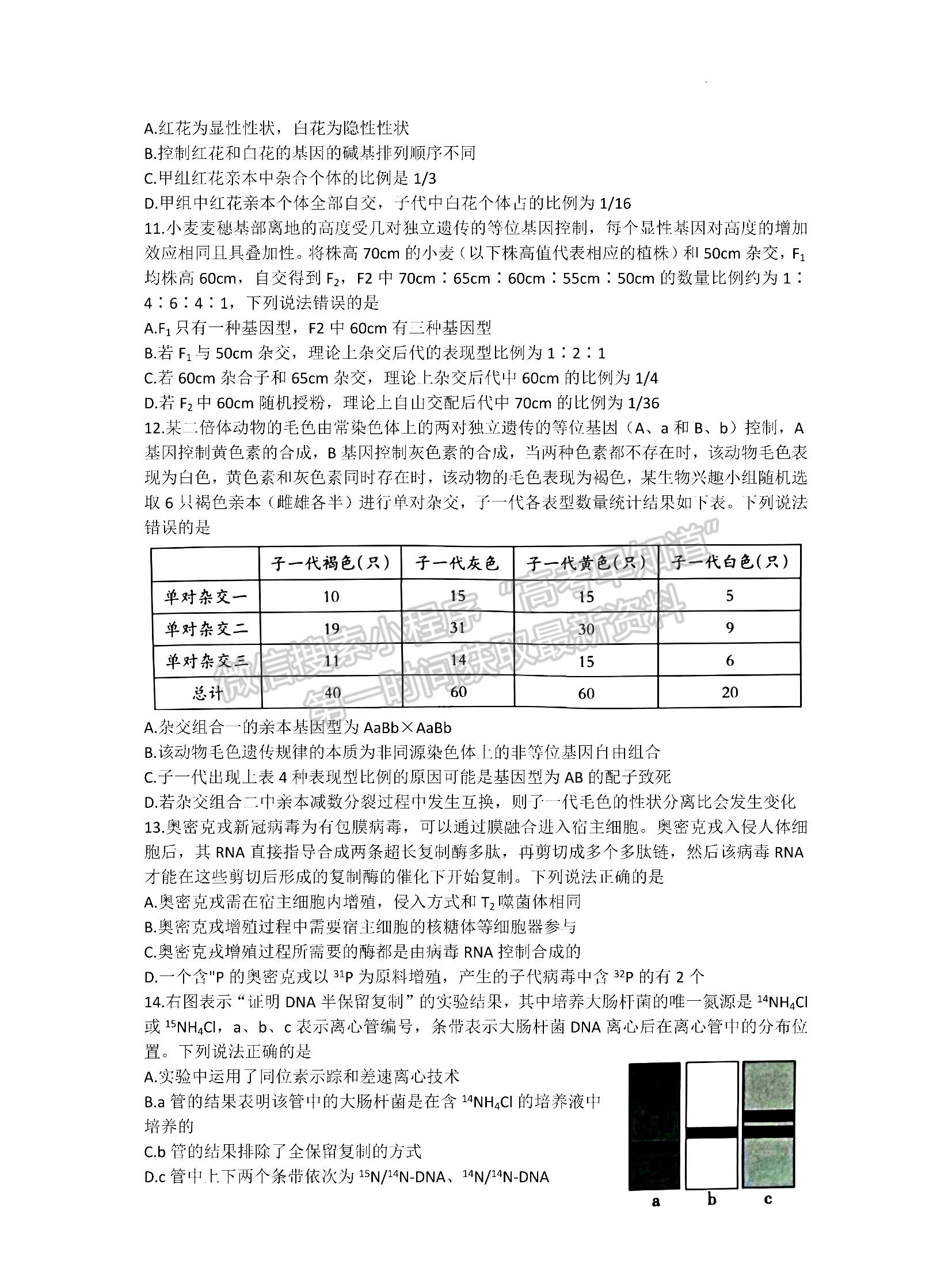 2023山東省泰安市高三上學(xué)期11月期中考試-生物試卷及答案