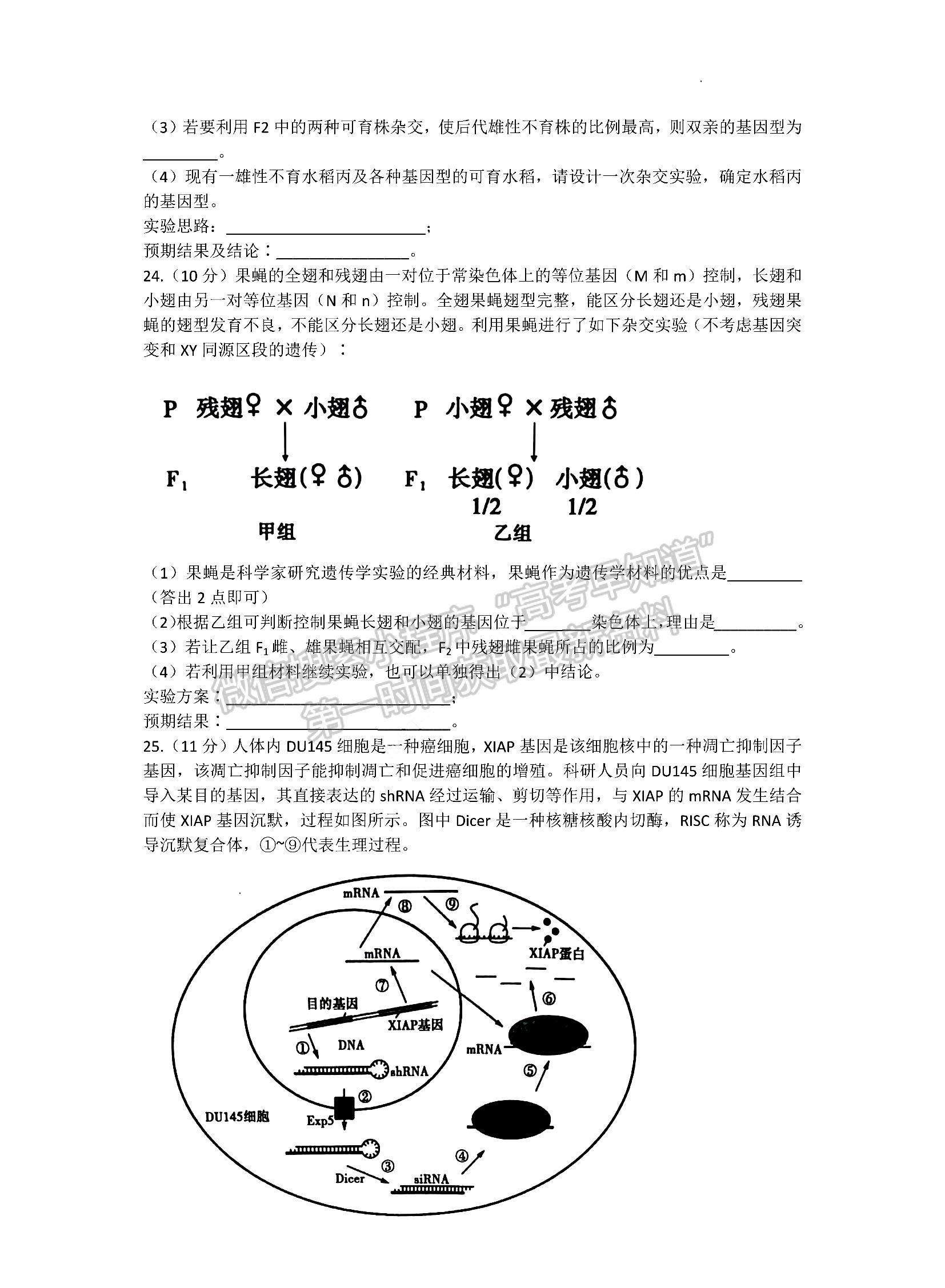 2023山東省泰安市高三上學期11月期中考試-生物試卷及答案