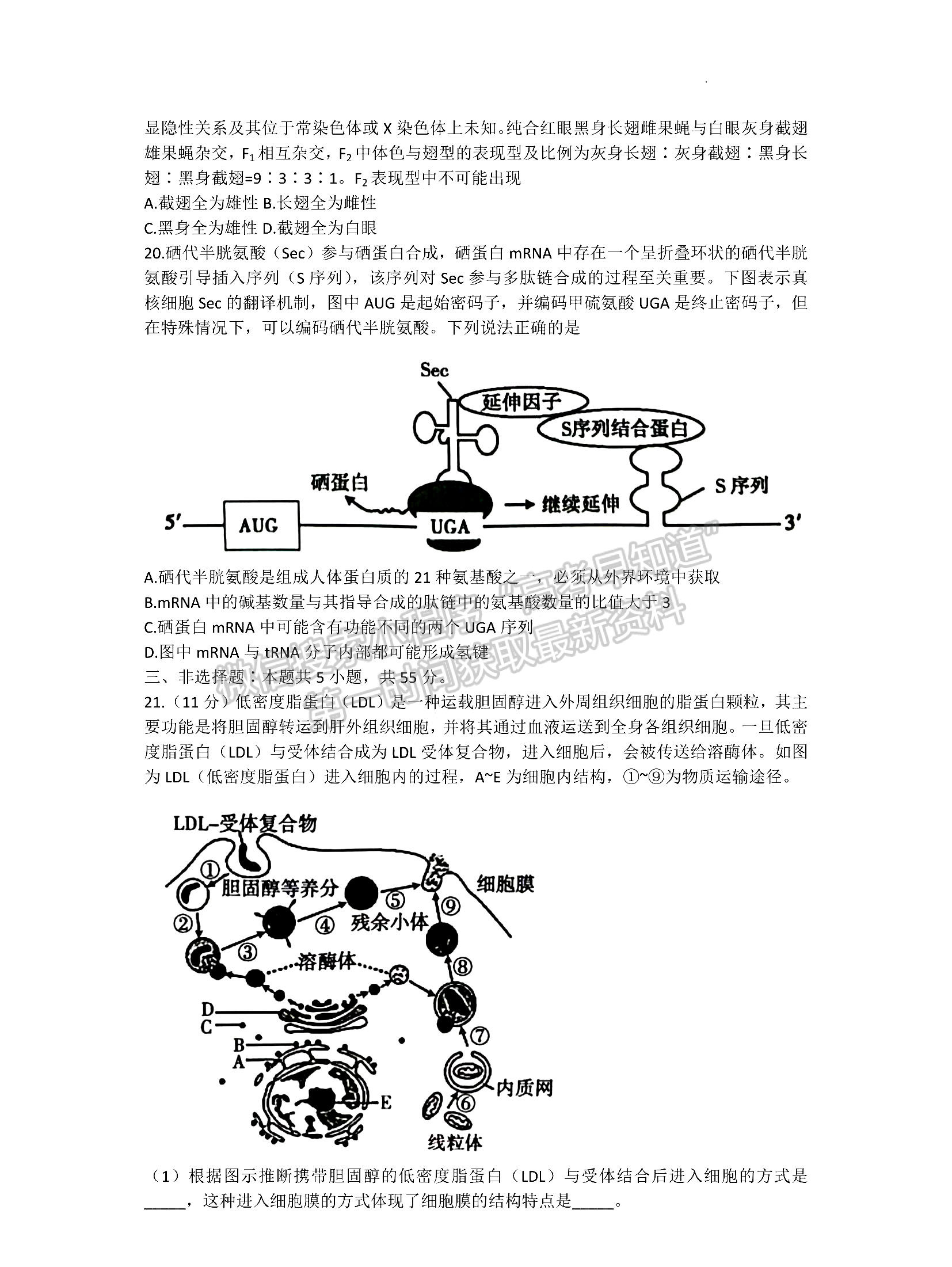 2023山東省泰安市高三上學(xué)期11月期中考試-生物試卷及答案