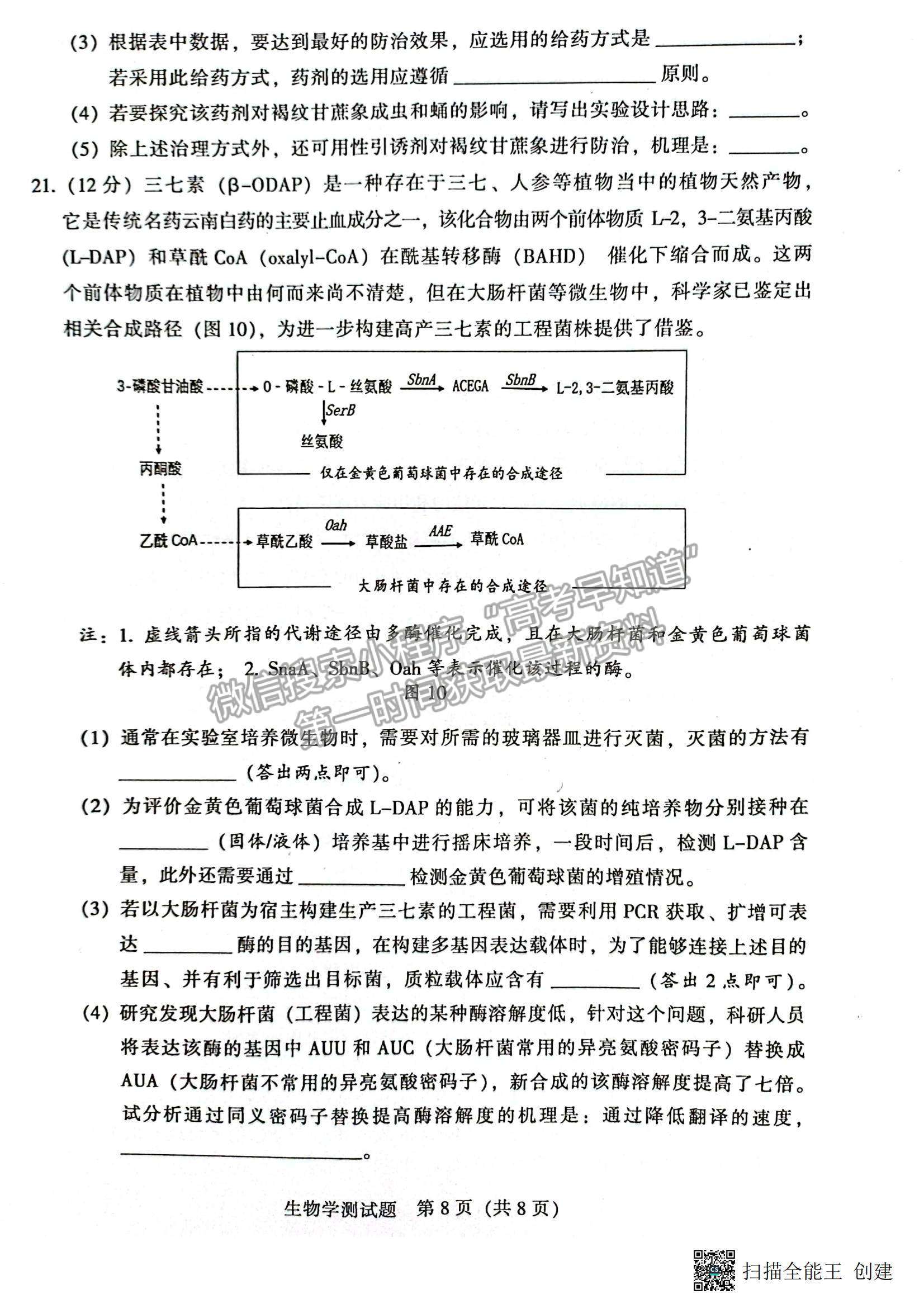 2023韶關(guān)一模生物試題及參考答案