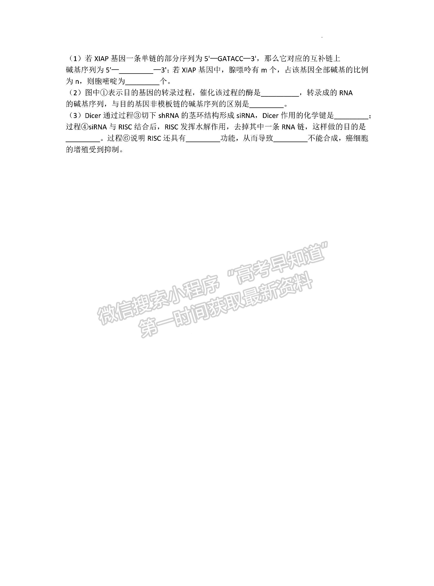 2023山東省泰安市高三上學期11月期中考試-生物試卷及答案