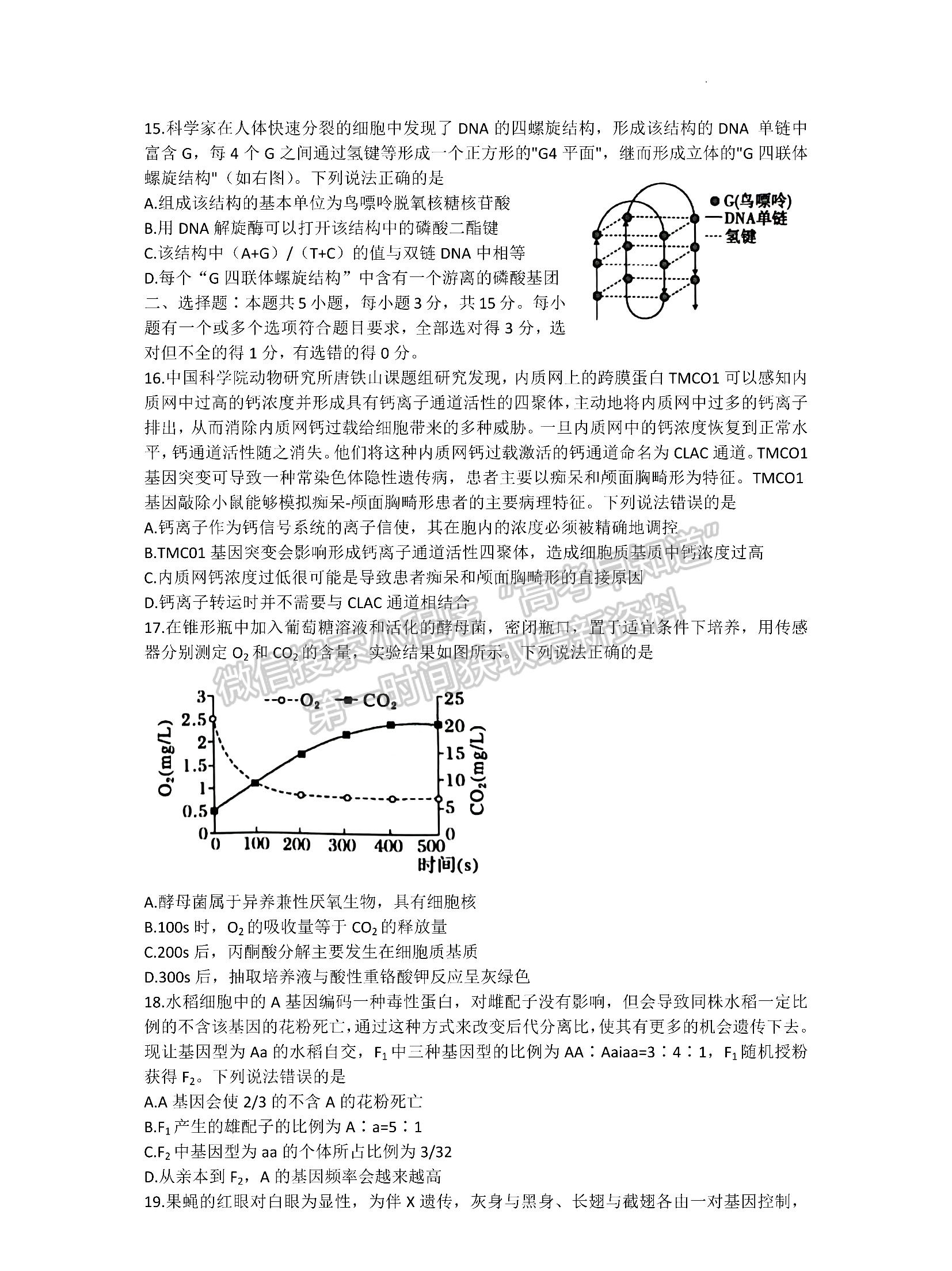 2023山東省泰安市高三上學(xué)期11月期中考試-生物試卷及答案