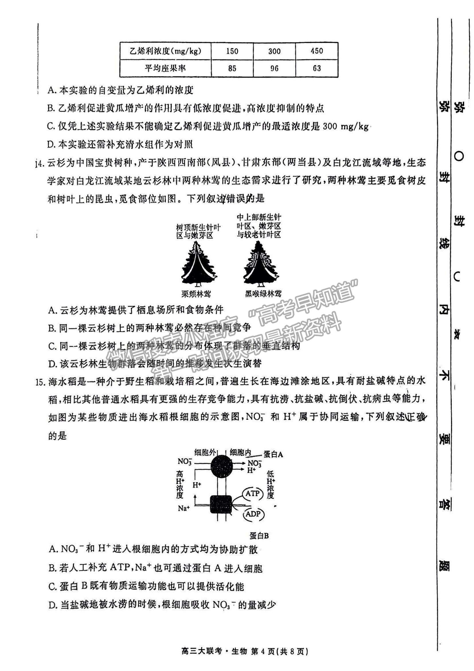 2023廣東衡水金卷高三11月聯(lián)考生物試題及參考答案