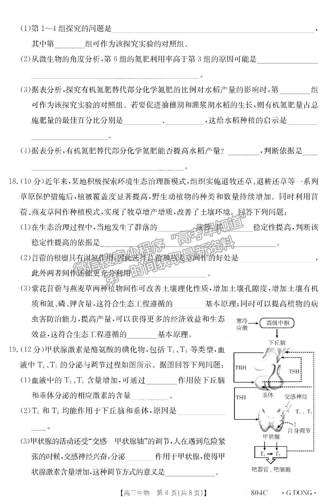 2023廣東高三11月大聯(lián)考（804C）生物試題及參考答案