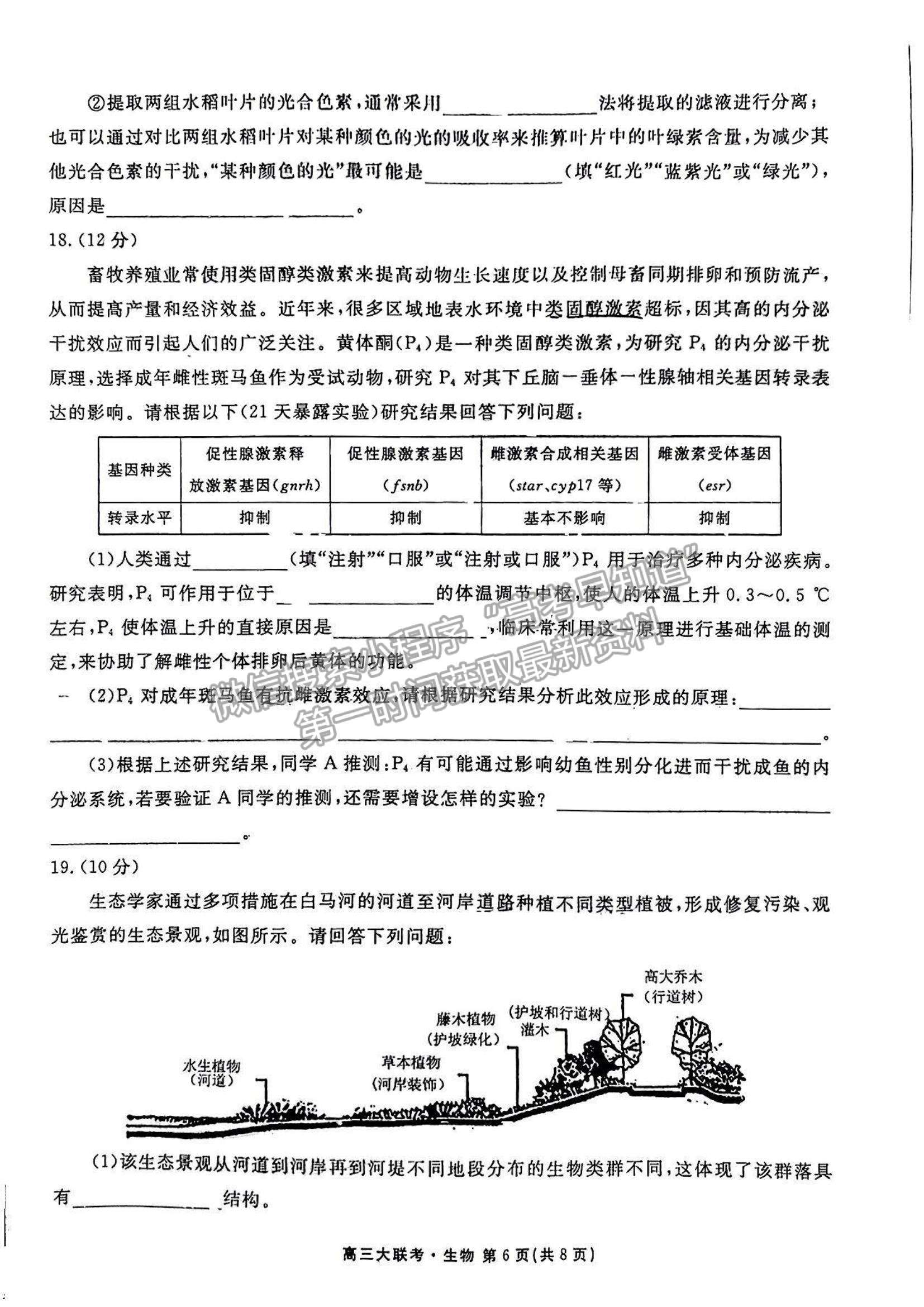 2023廣東衡水金卷高三11月聯(lián)考生物試題及參考答案